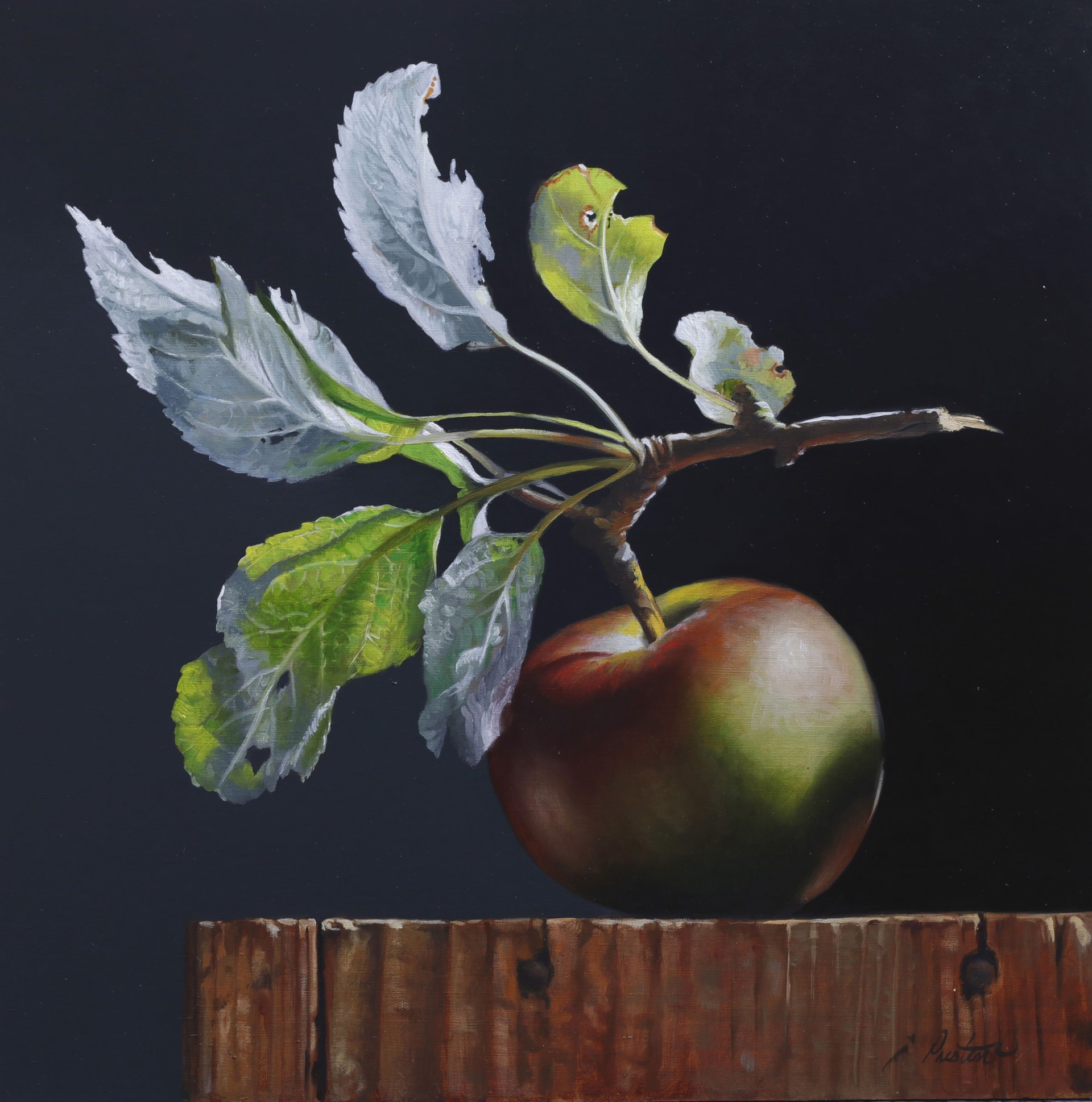 Apple with Leaves by Larry Preston