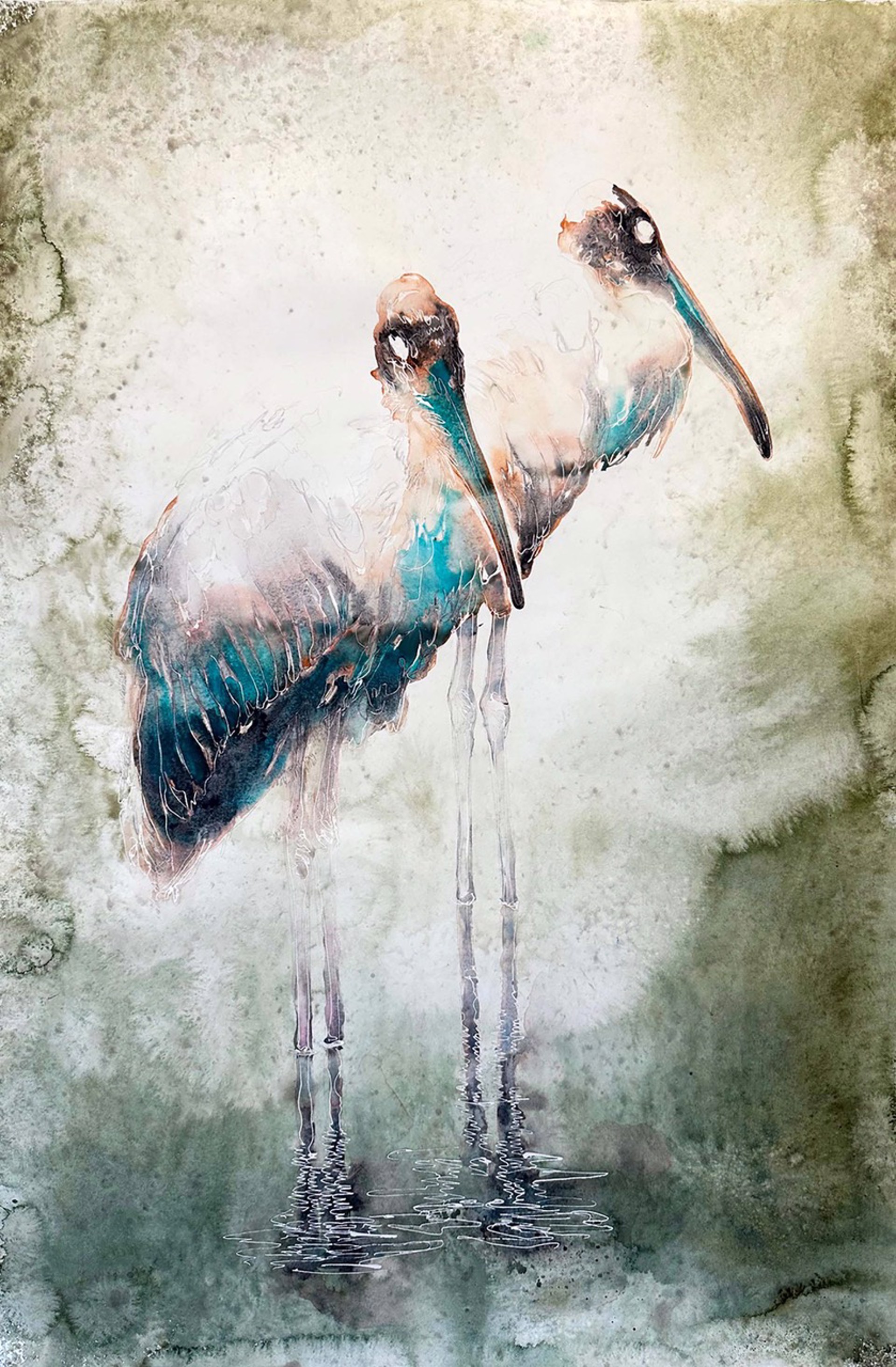 Birds of Florida - Storks by Carol Carter