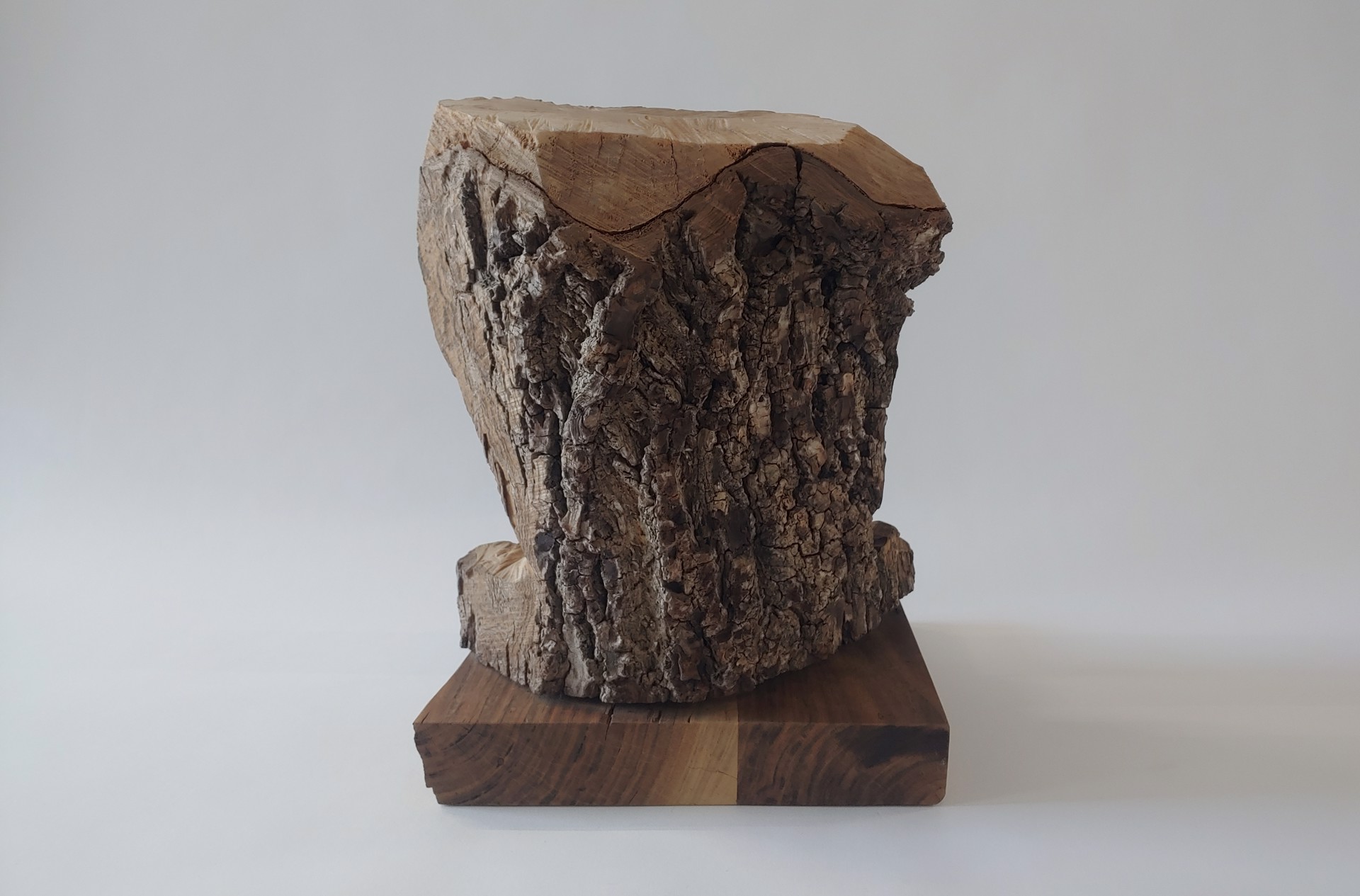 Adam -Walnut Head - Wood Sculpture by David Amdur