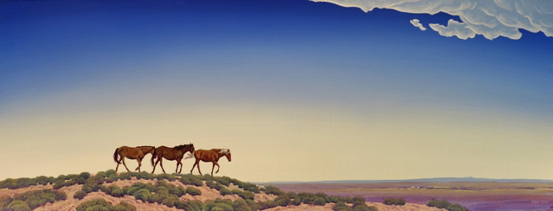 Horses On the Hill by Phil Epp