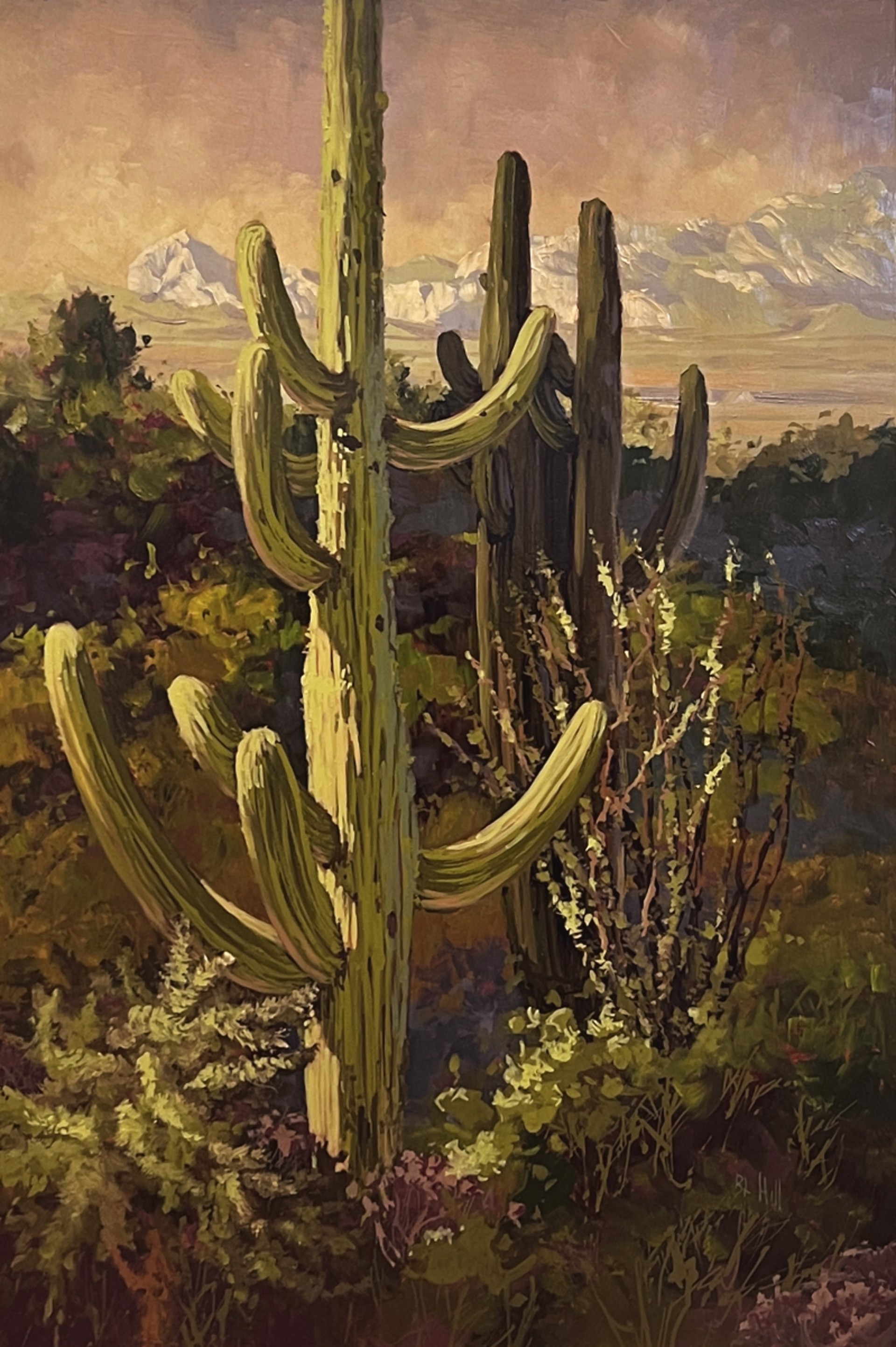 Treasures of the Desert by Barbara Hill