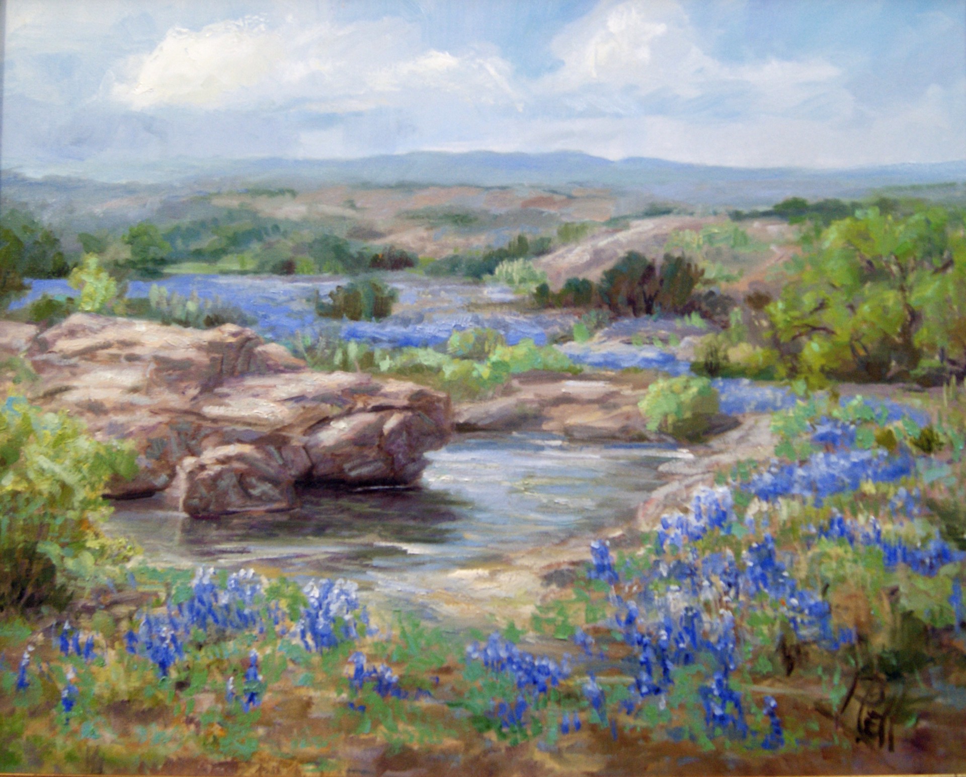 Bluebonnets at Turtle Rock by Lilli Pell