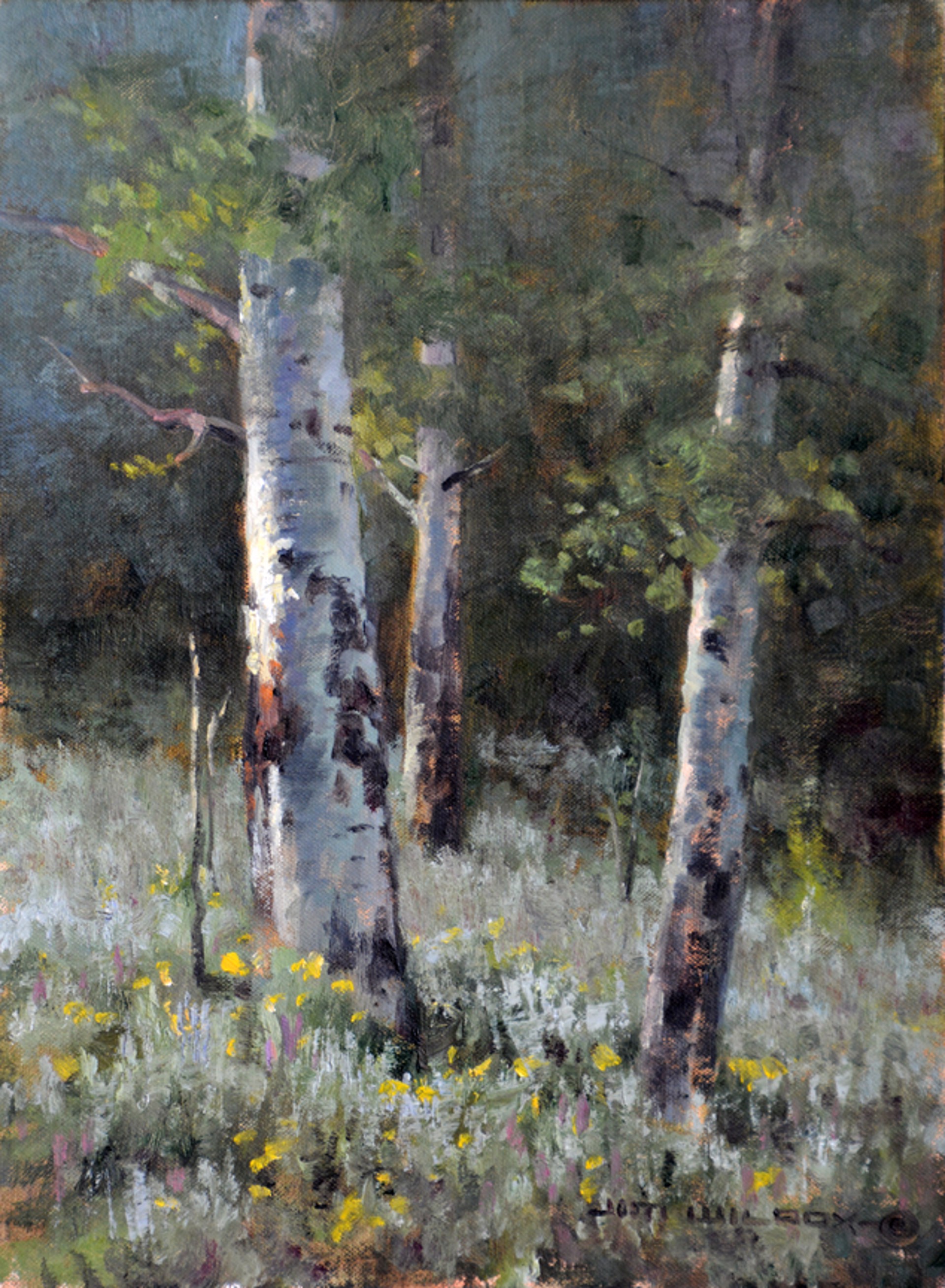 Gros Ventre Aspens by Jim Wilcox Giclees