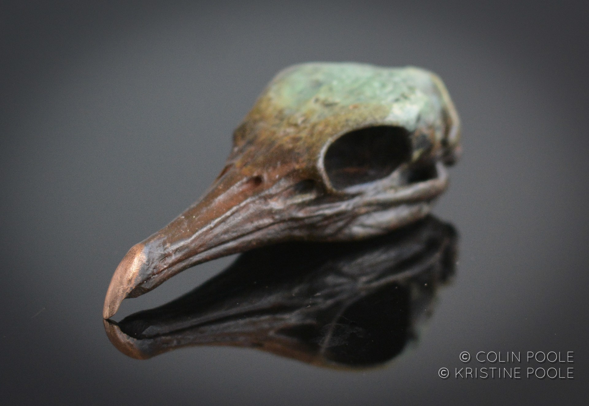 Cormorant Talisman 16 by Colin & Kristine Poole