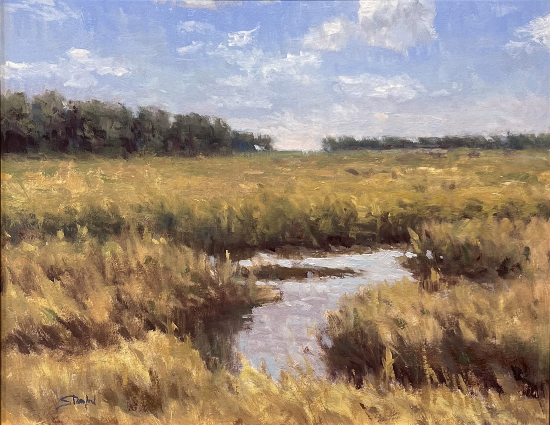 Fall Marsh by John Stanford