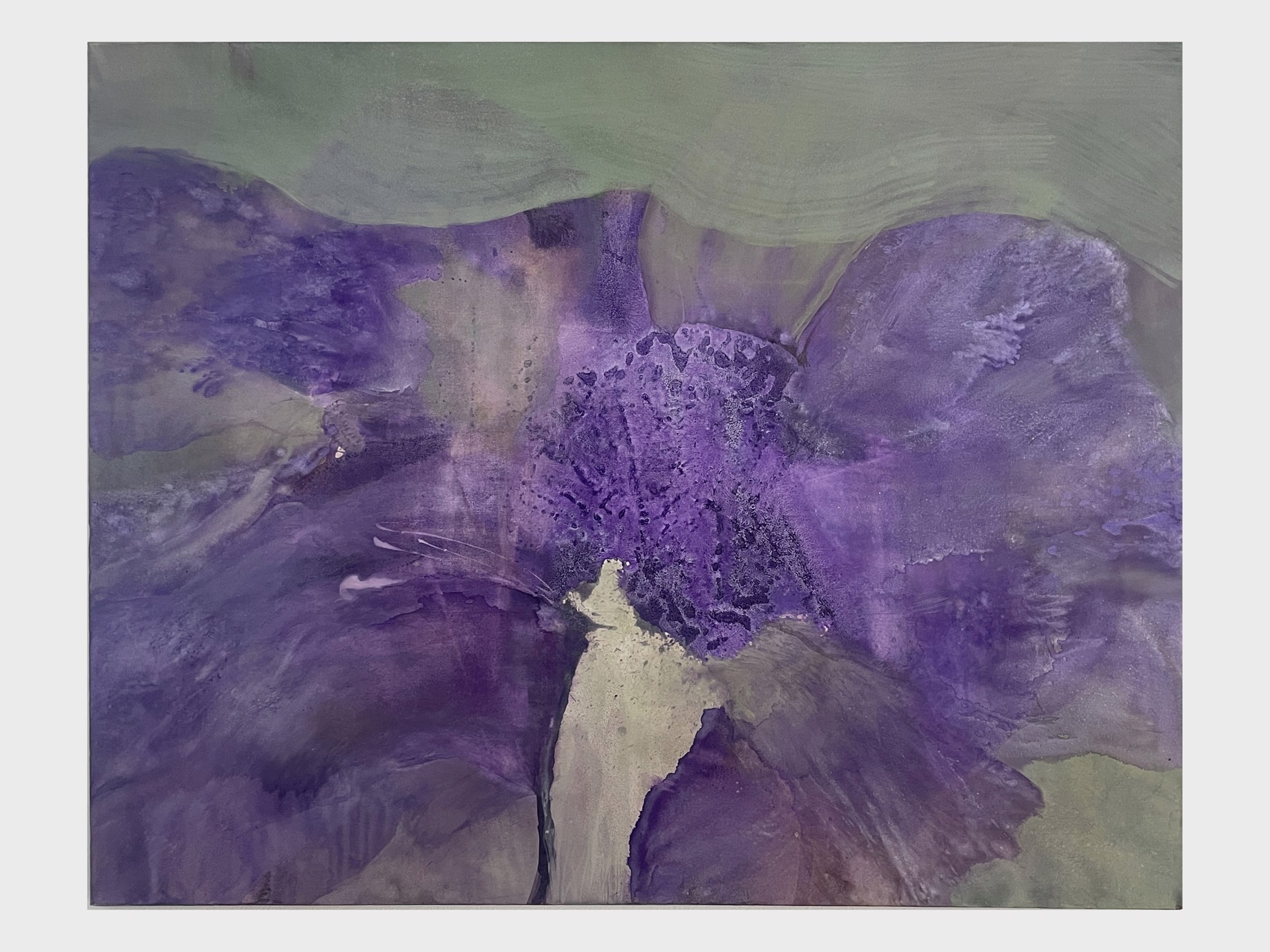 Wild Flower by Jane Cook