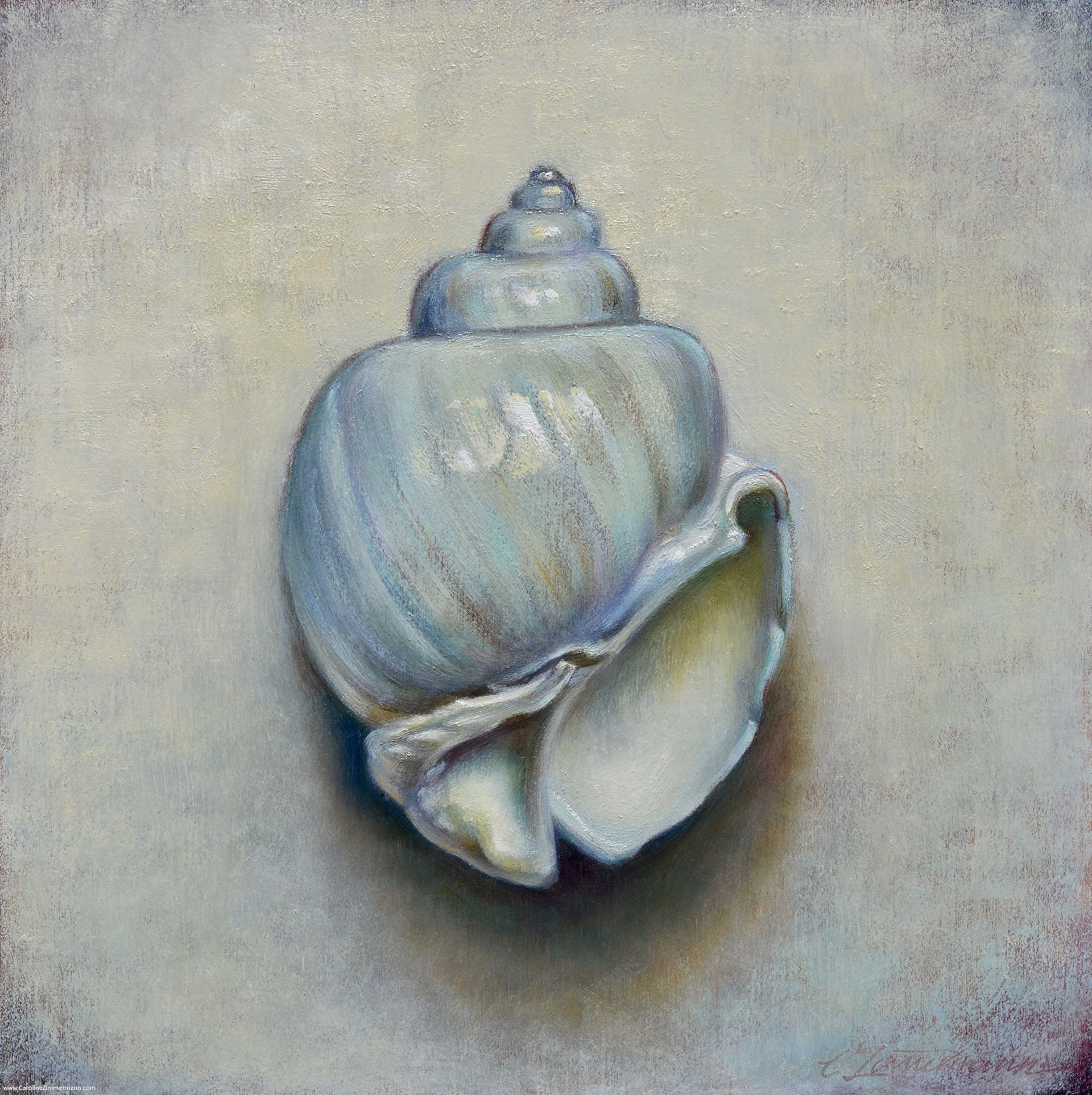 Luna Shell by Caroline Zimmermann
