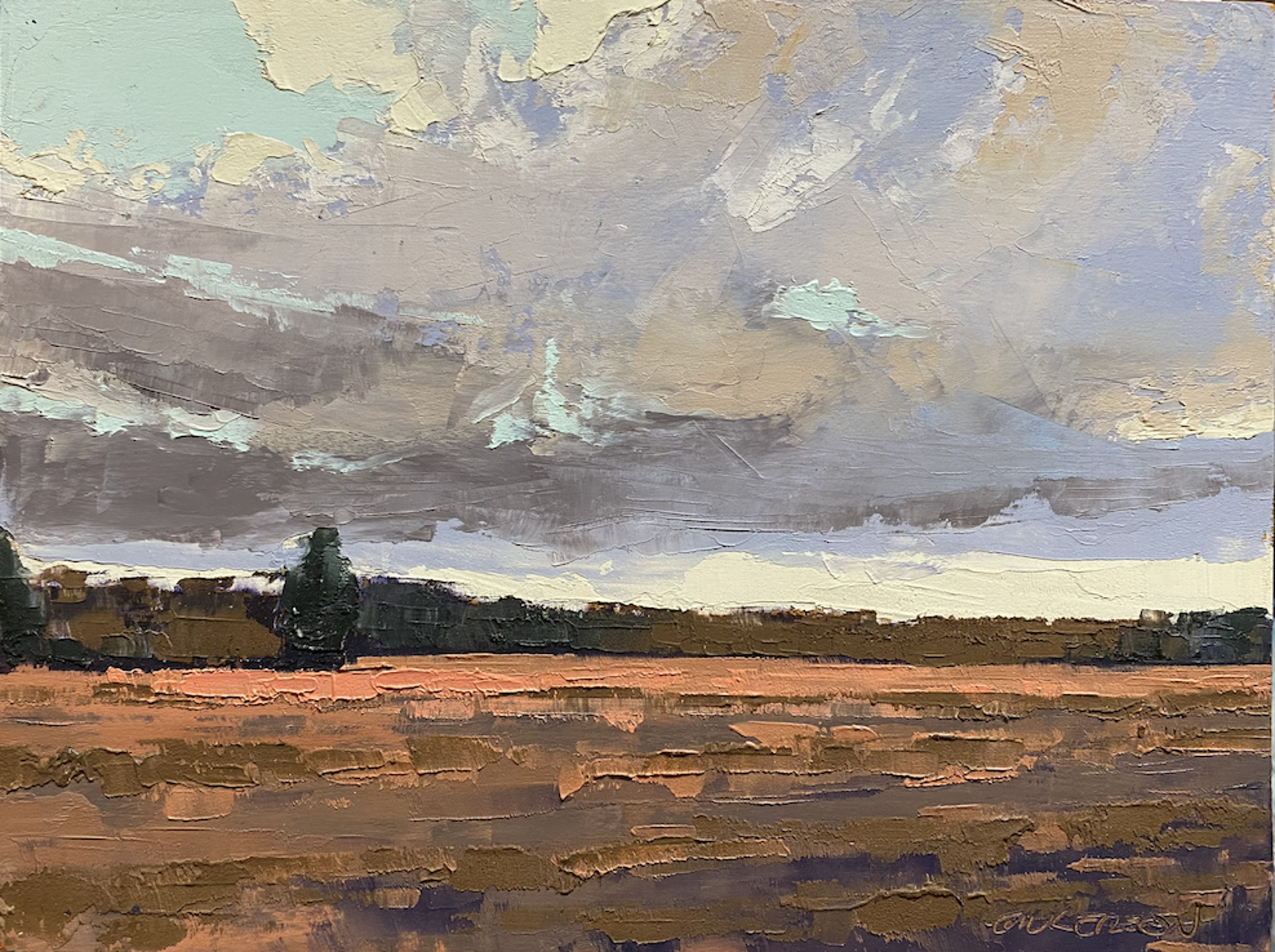Clouds Over Bare Fields by Mary Gilkerson