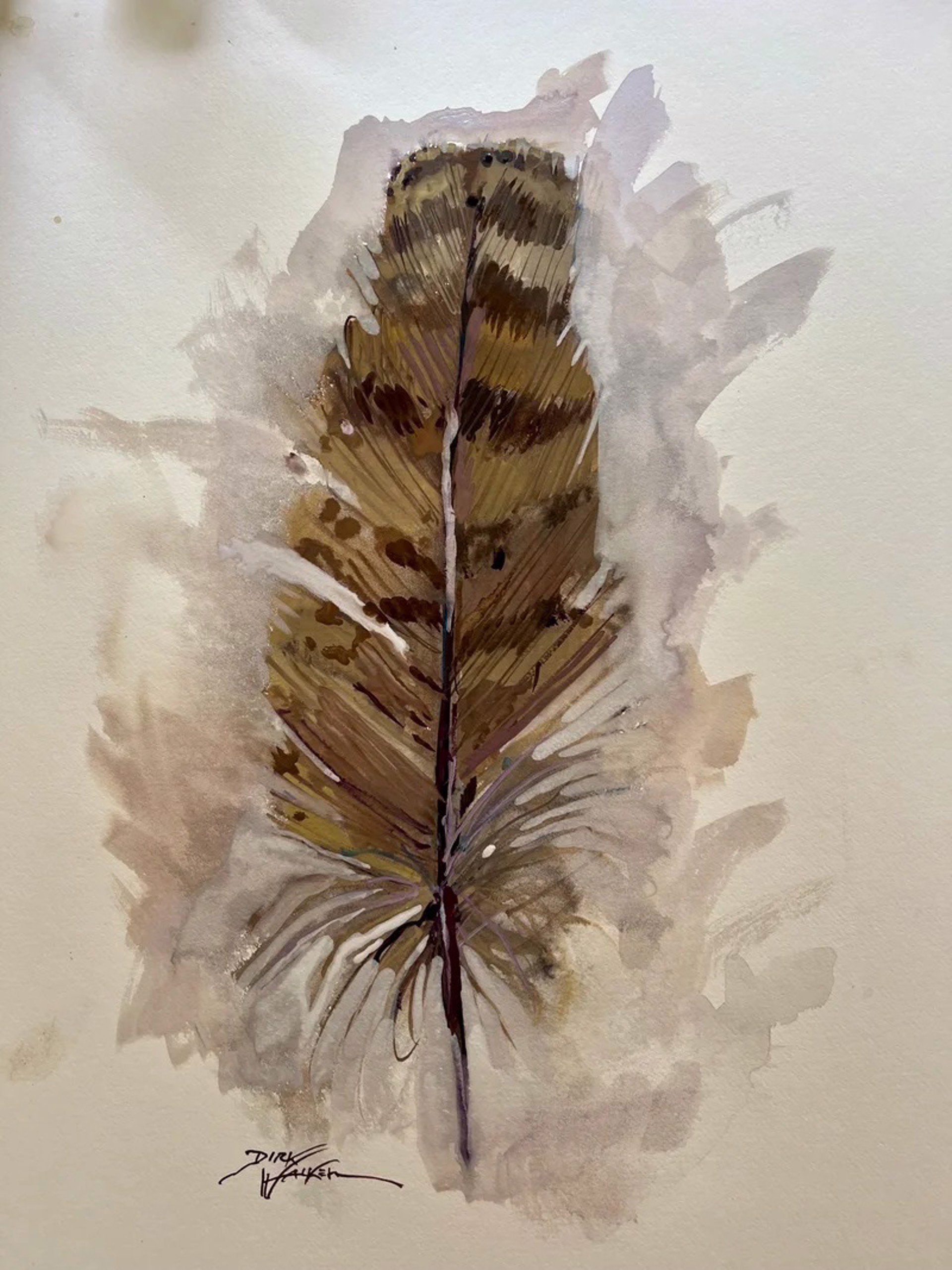 Pheasant Feather by Dirk Walker