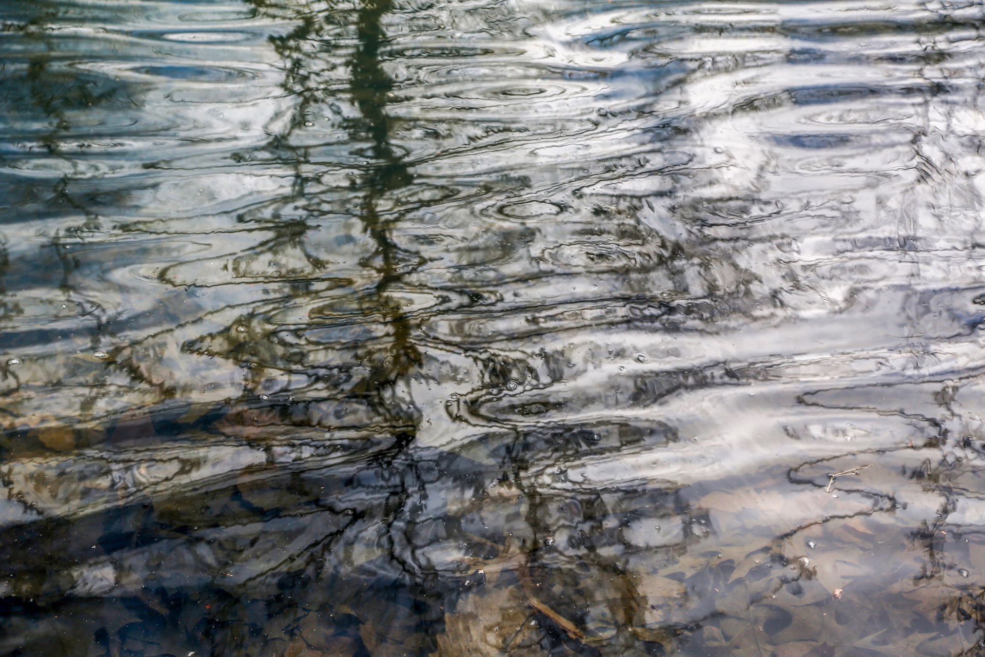 Sky Water by Thad Lee