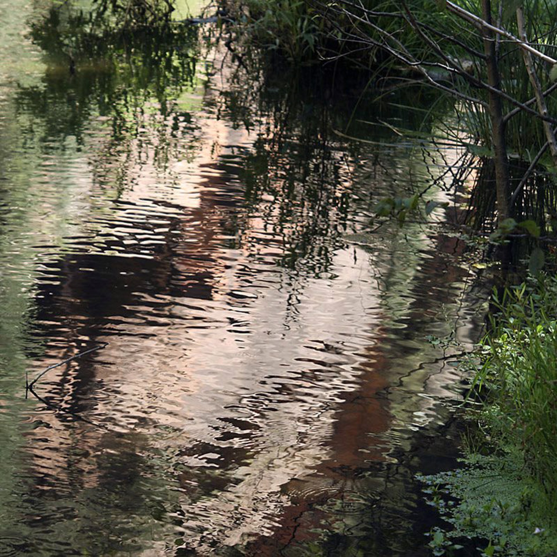 Reflections - 3 (ed. 2/30), 2008 by Forrest Moses