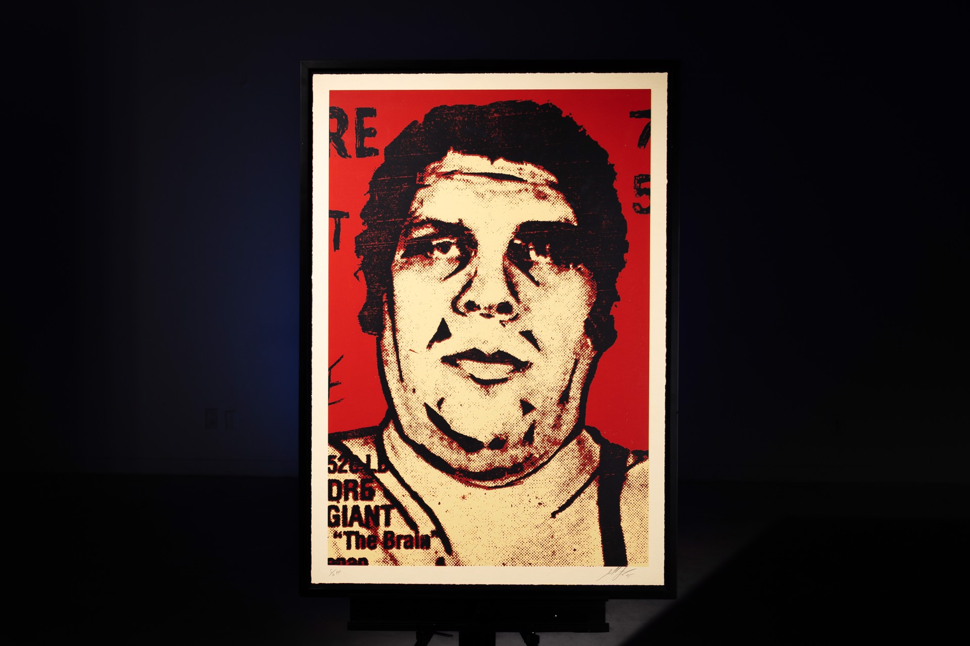 Andre 05 by Shepard Fairey