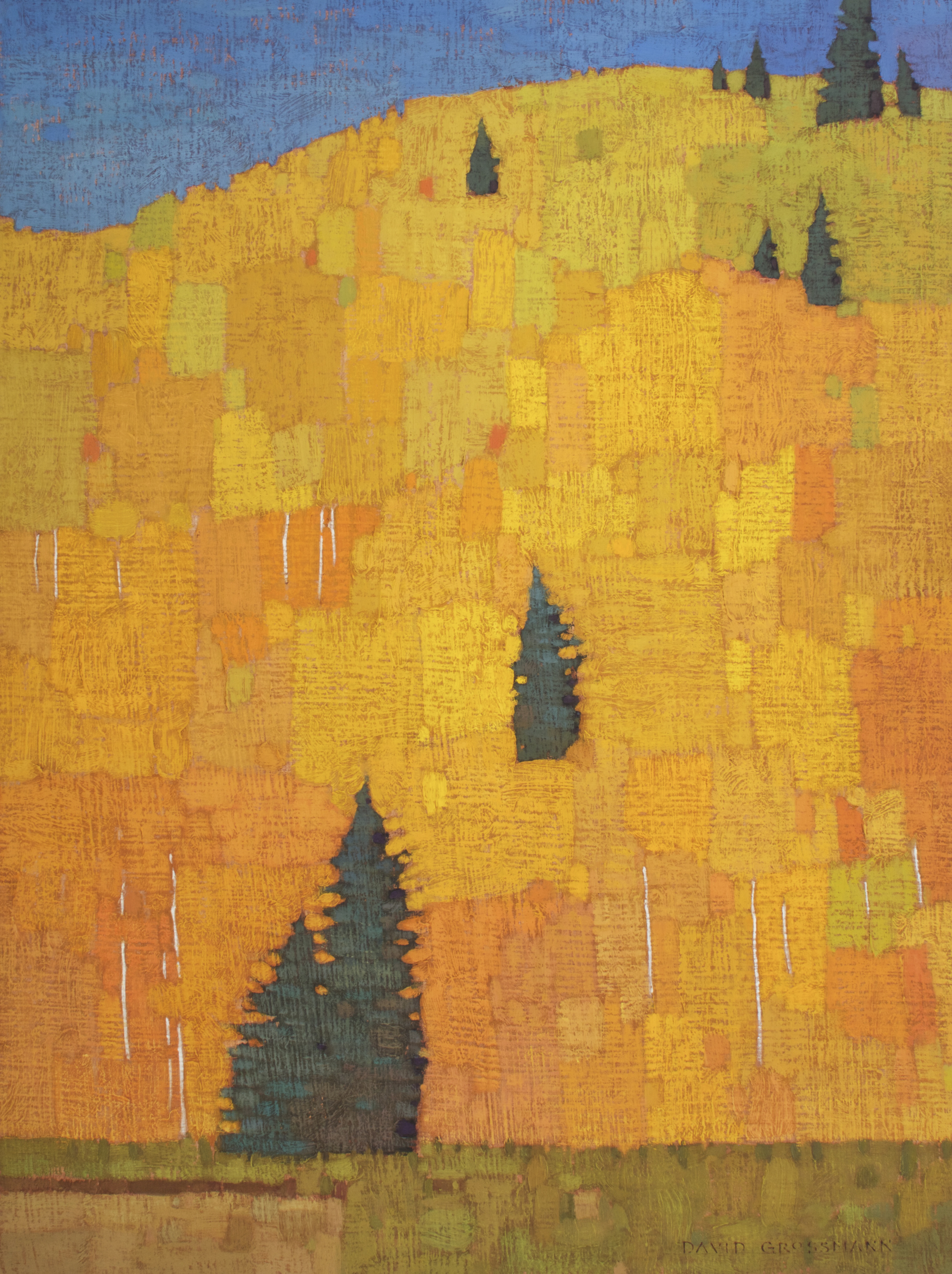 Scattered Pines and Aspen Patchwork  by David Grossmann