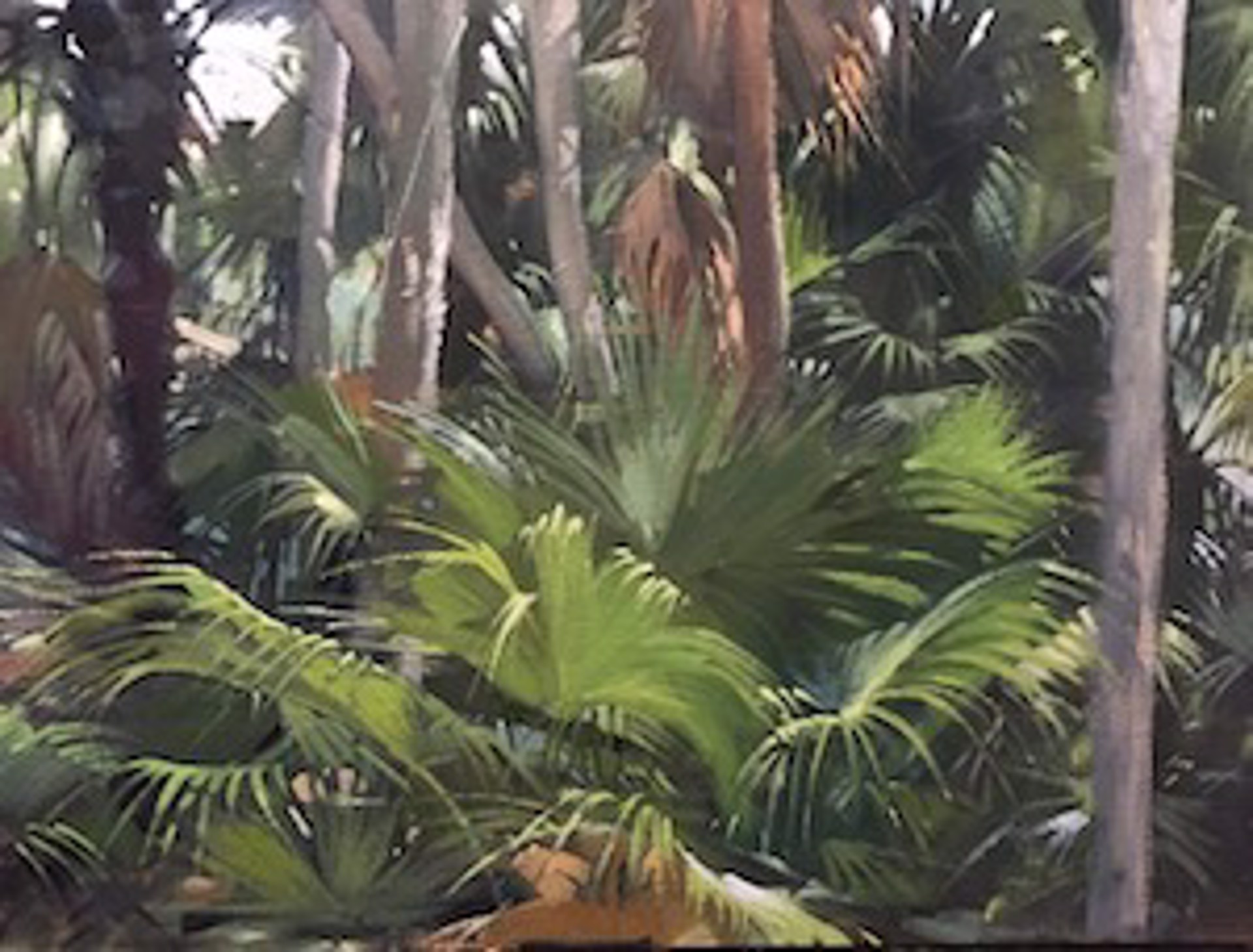 Palms in Motion by Morgan Samuel Price