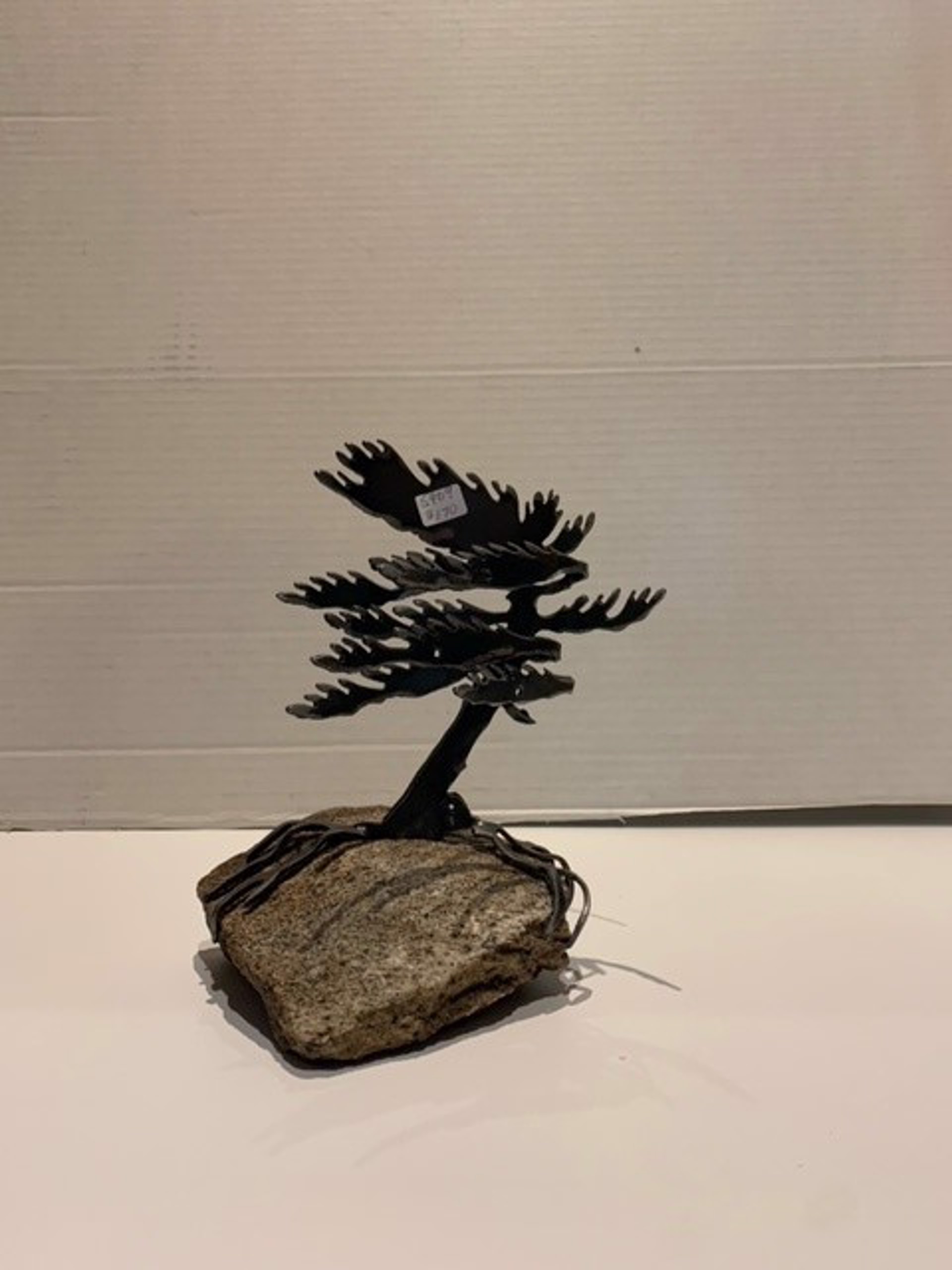 Windswept Pine 5909 by Cathy Mark
