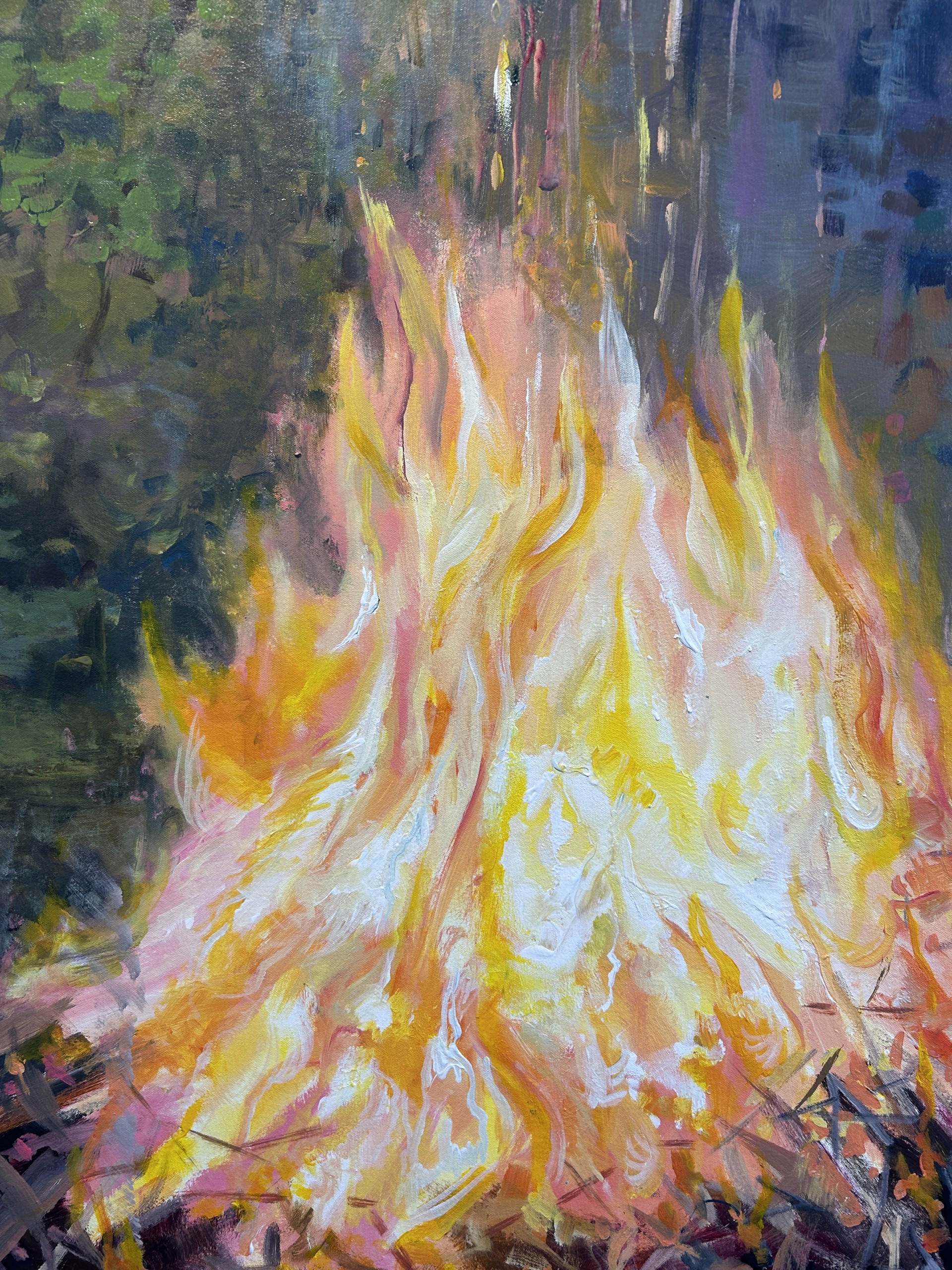 Bonfire of the Calamities by Ed Trask