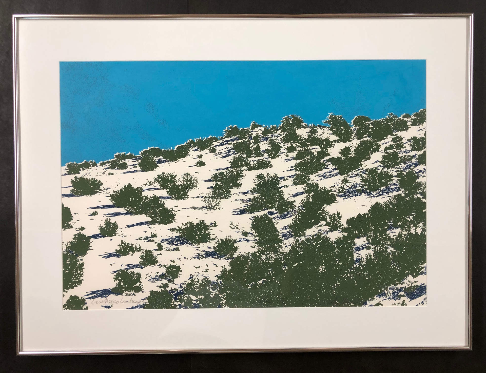 New Mexico Landscape by John Hogan