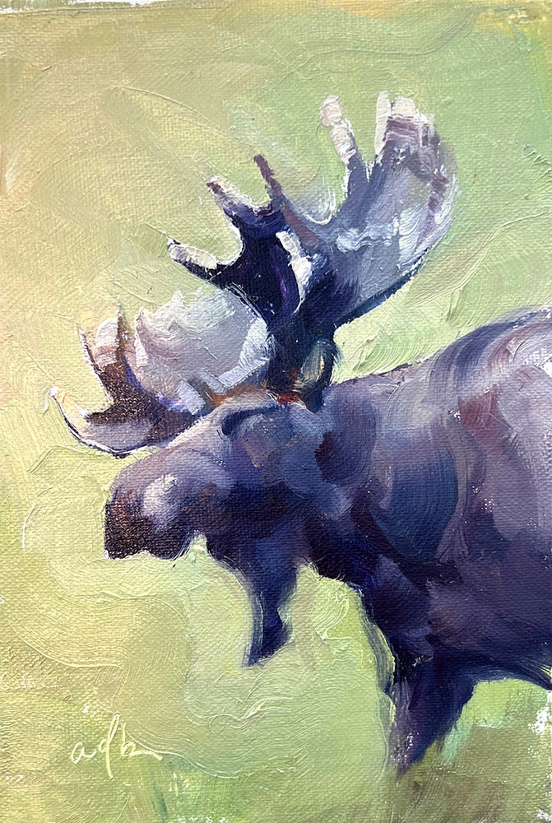 Moose Study by Amber Blazina