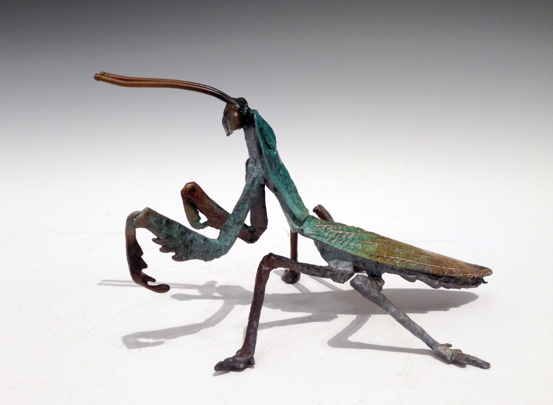 Praying Mantis by Dan Chen