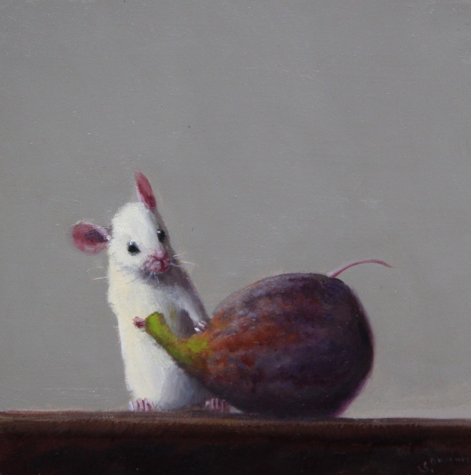 Fig Lover by Stuart Dunkel