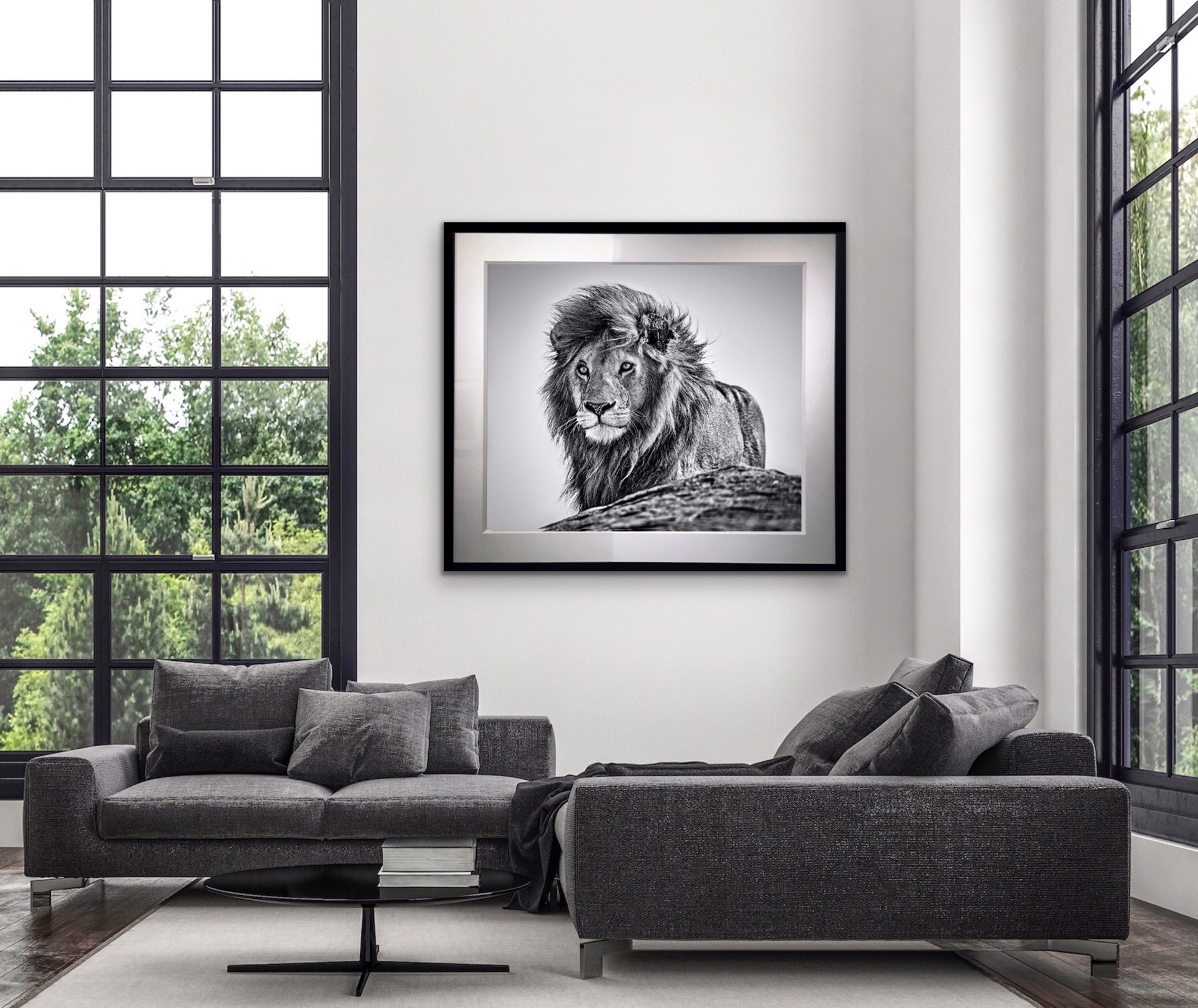 The Cure by David Yarrow