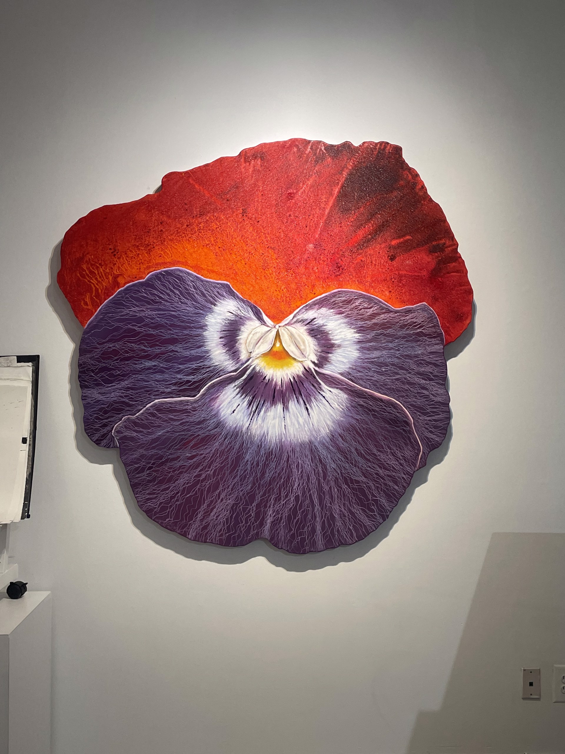 Pansy by Leigh Wen