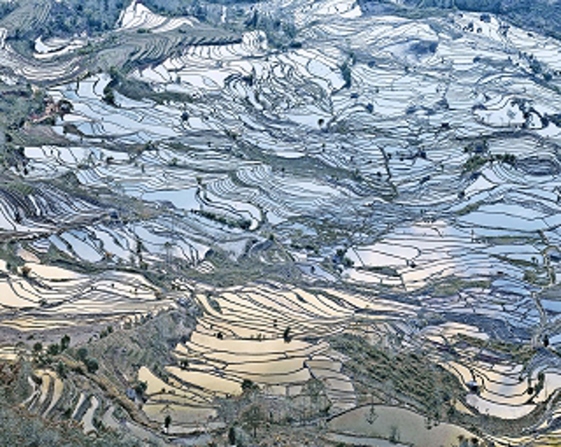 Rice Terraces, Laohuzui I, Yunnan, China, 2013 by David Burdeny