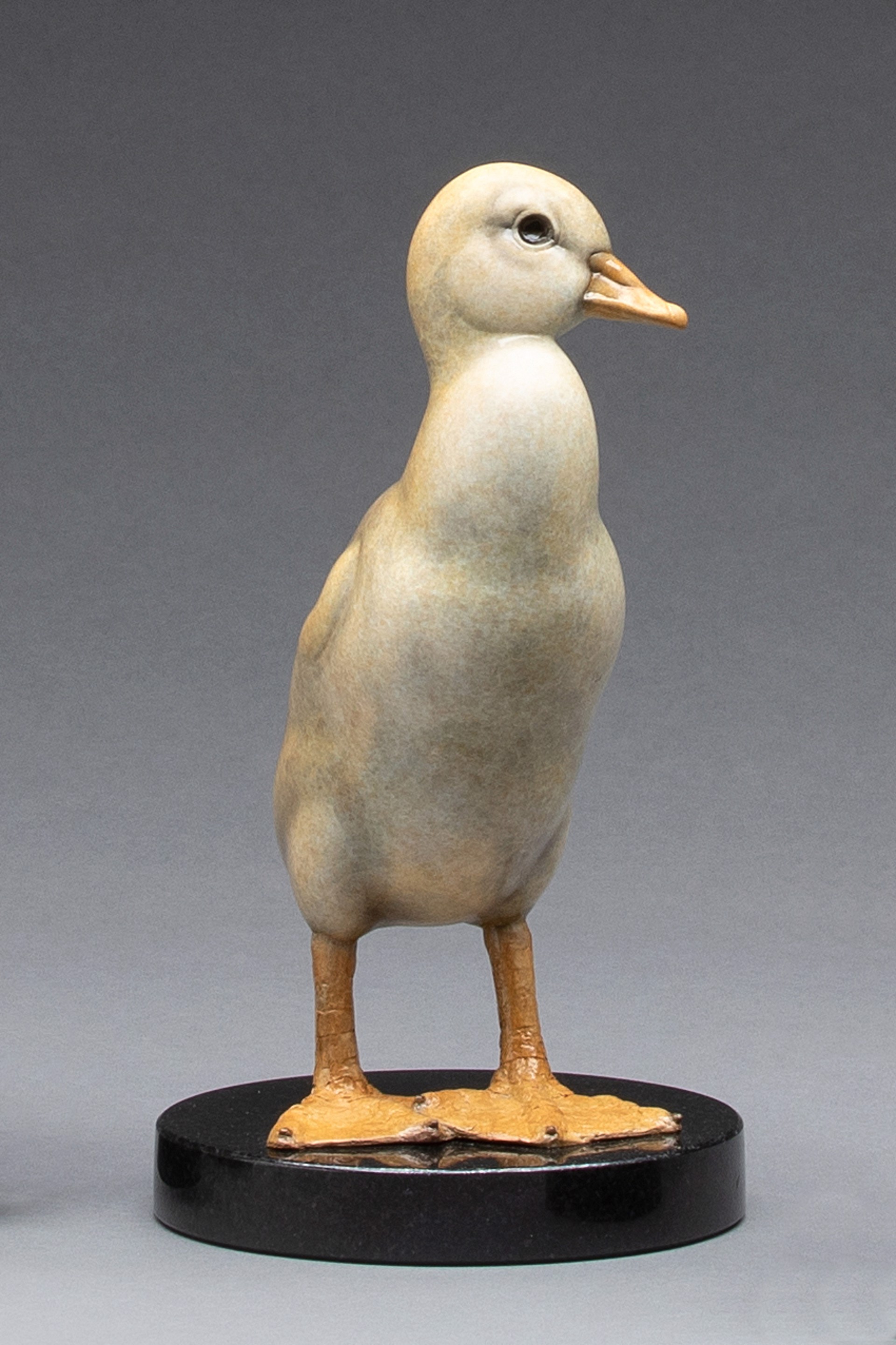 Duckling - Look Out by Joshua Tobey