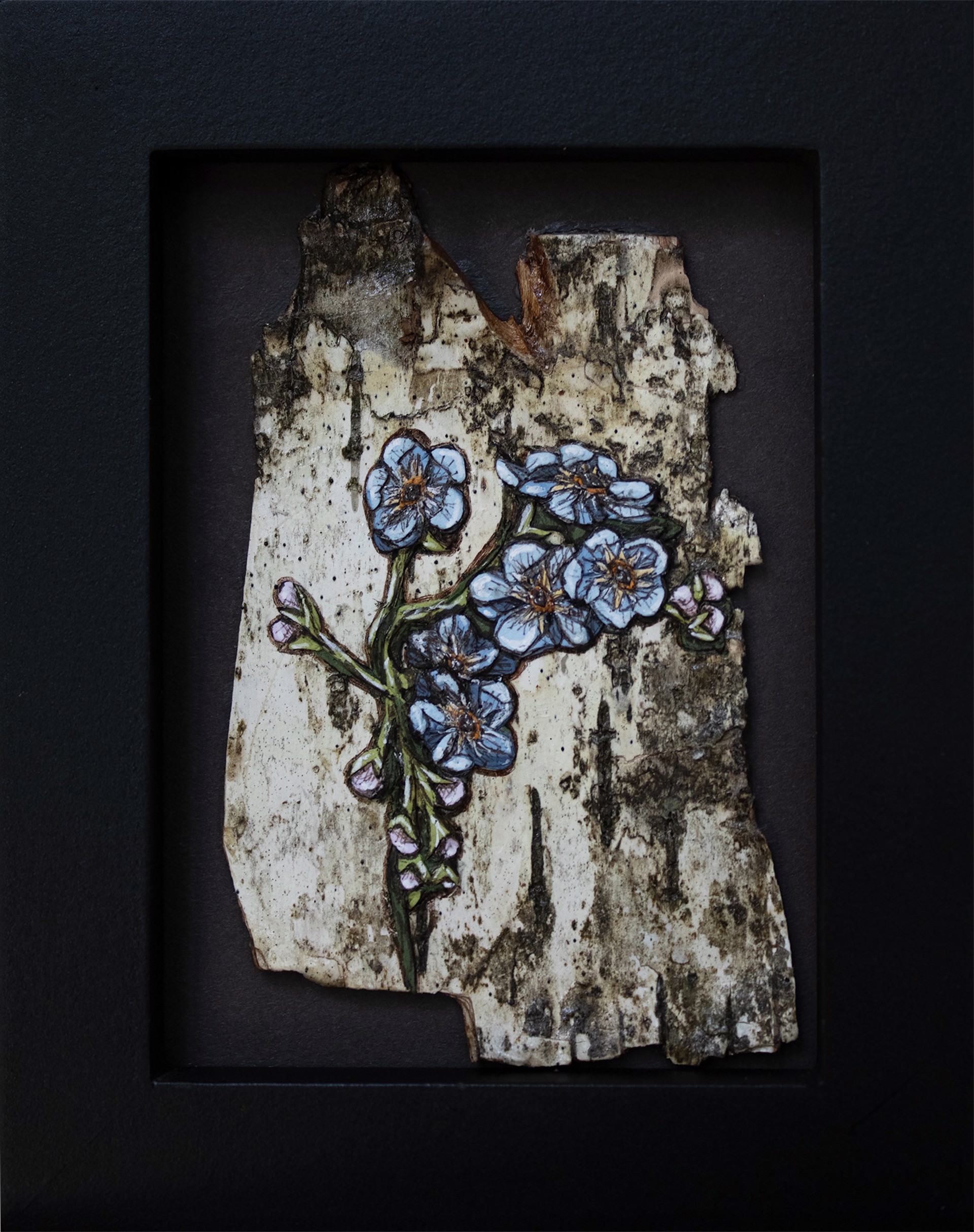 Forget Me Not Collage on Bark by Willow Bayer