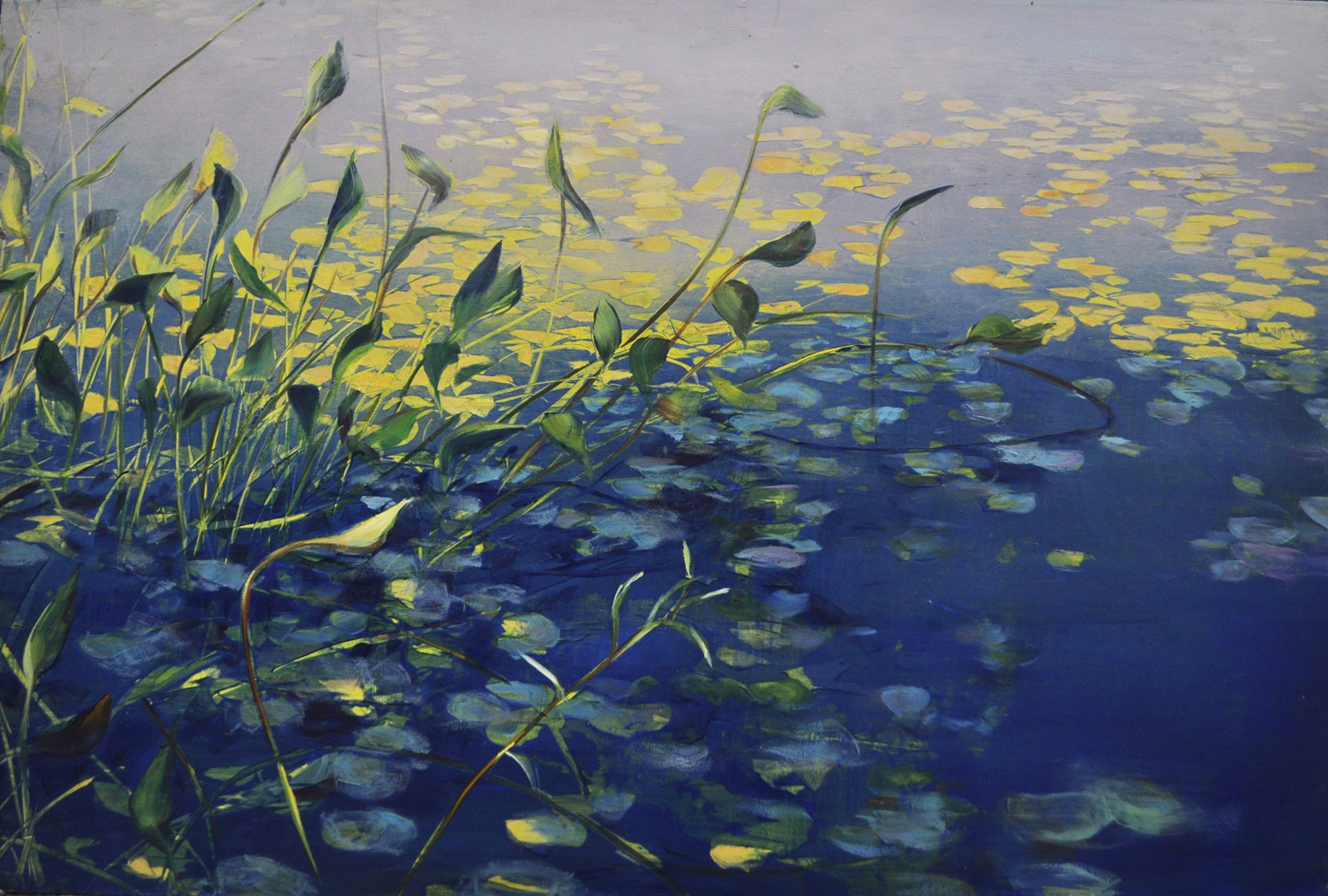 Pond Shadows by David Dunlop