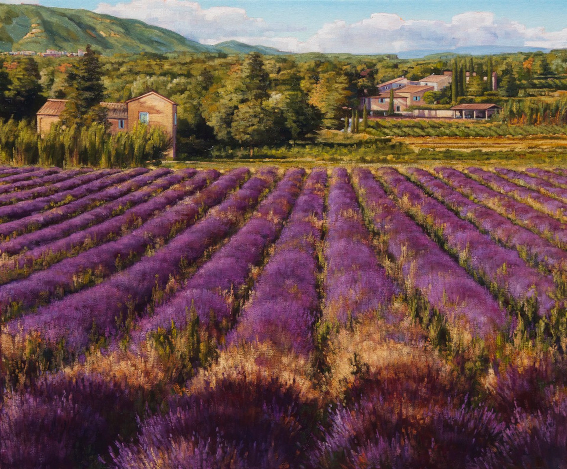 Lavender Of The Luberon by Caroline Zimmermann
