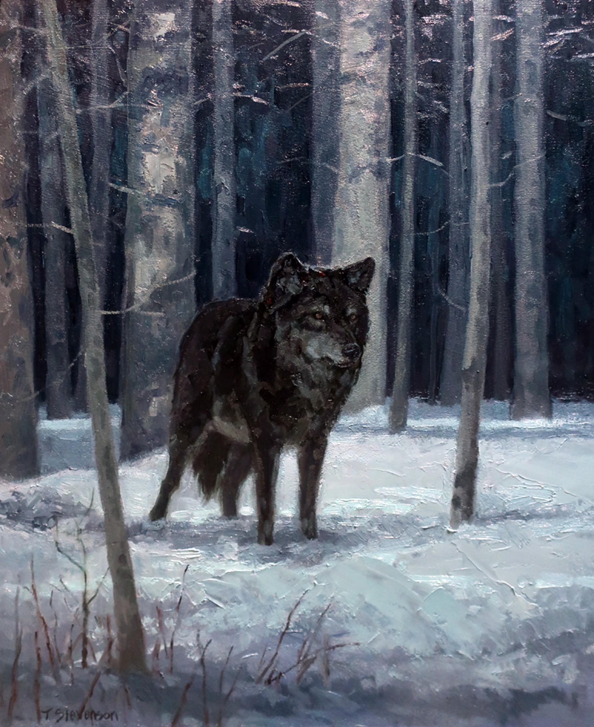 Under a Wolf Moon by Tiffany Stevenson