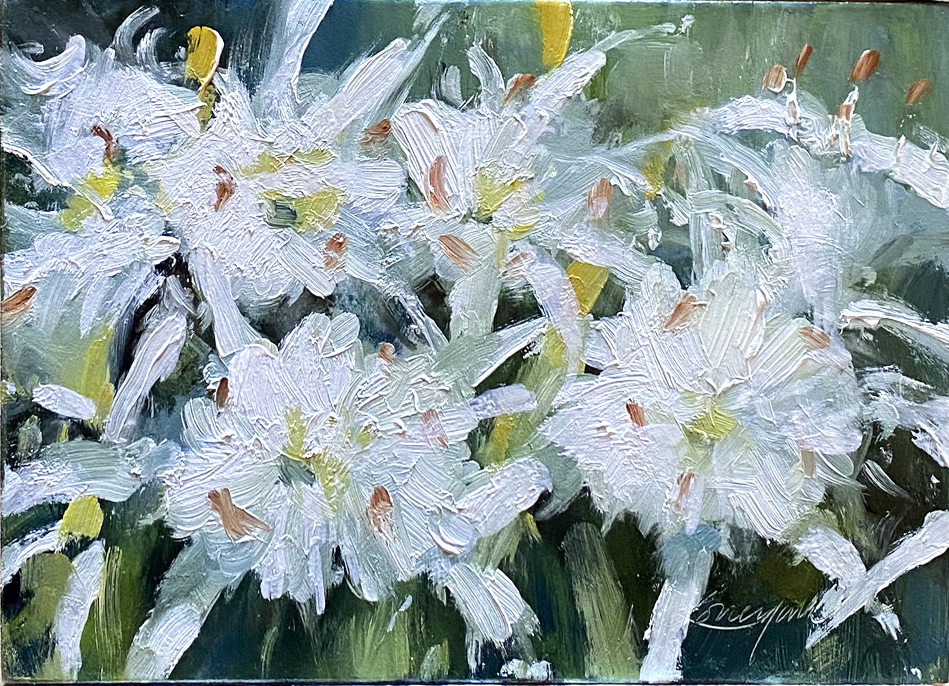 Lilies for Sam by John Lonergan