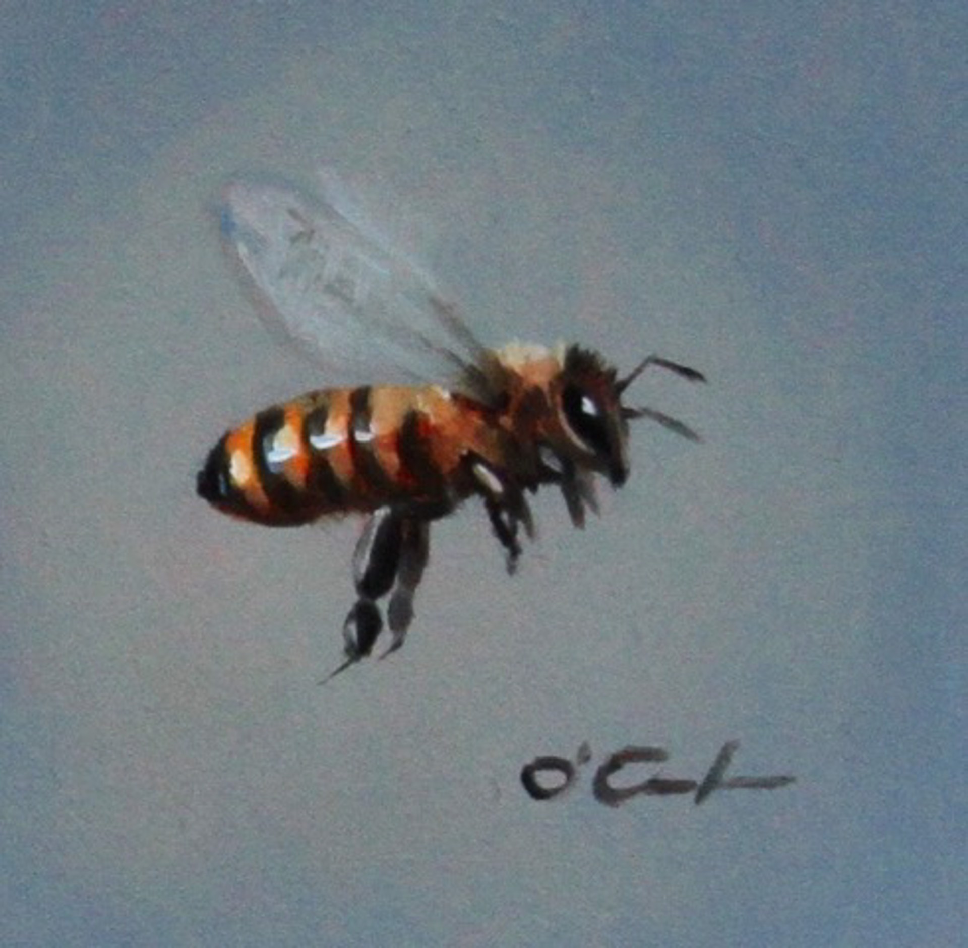 Bee True by Jennifer O'Cualain