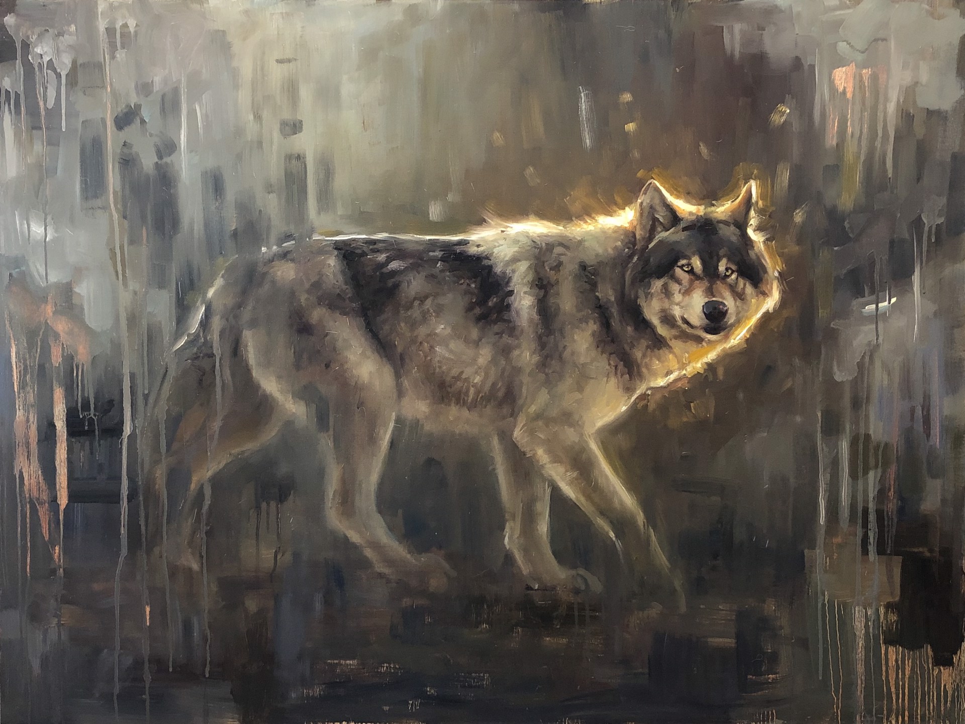Wolf Instinct by Virginie Baude