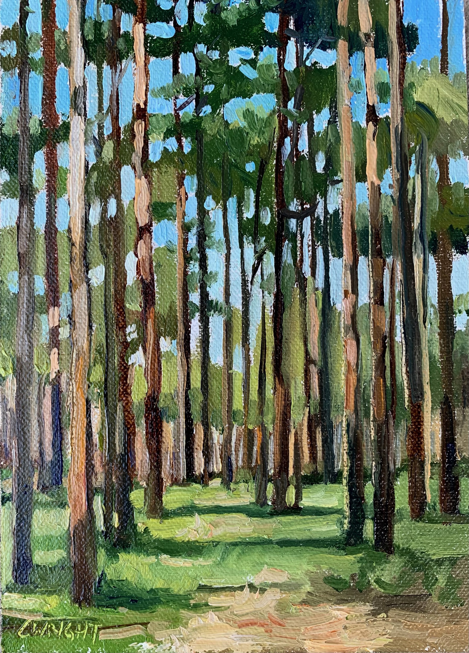 Golden Hour in the Forrest - SOLD by Cory Wright