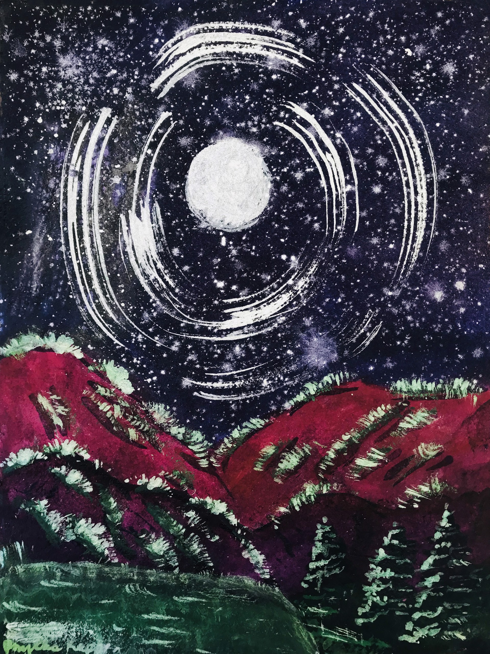 Starry Night by Phyllis Kapp