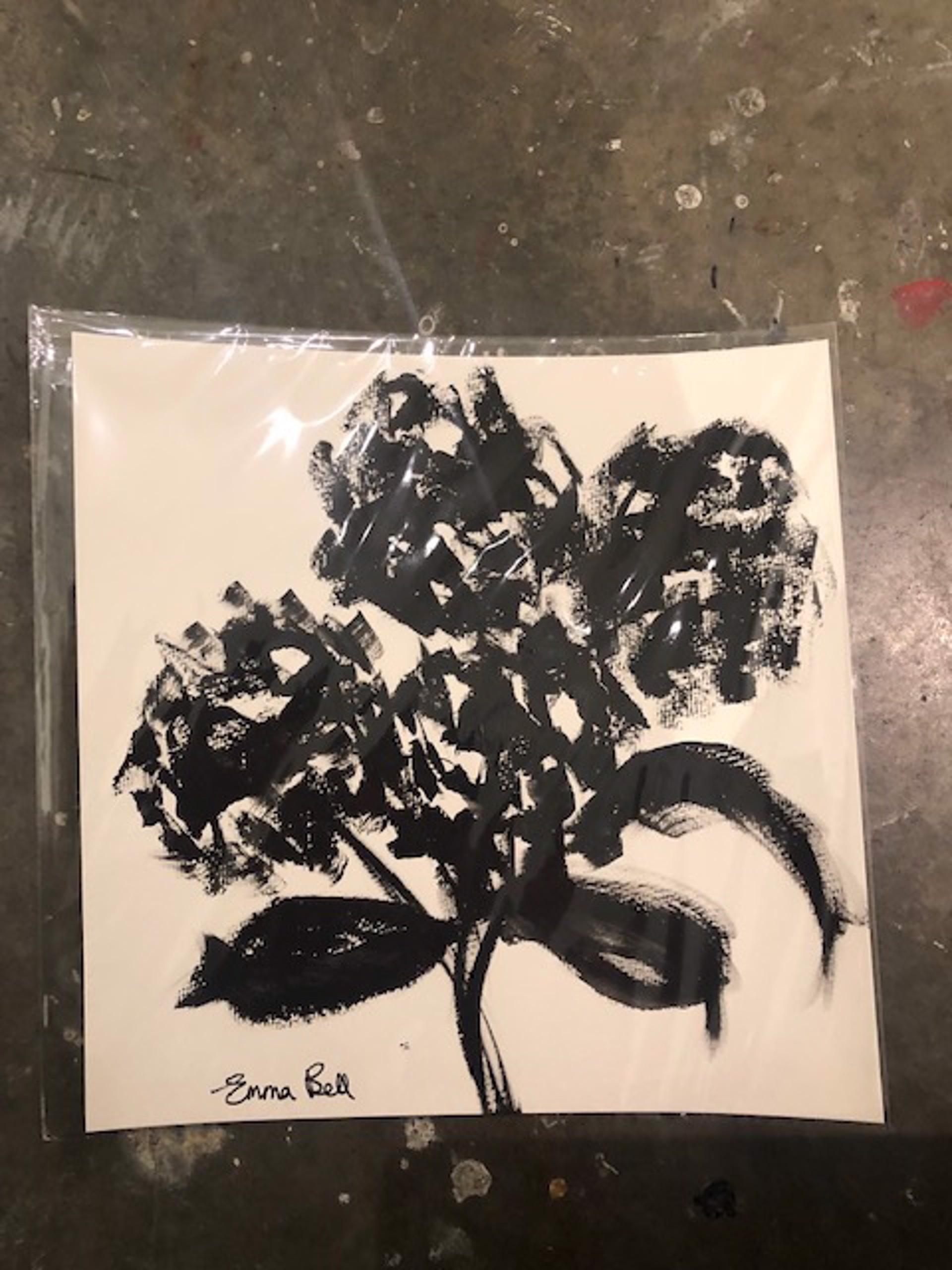 Black & White Four Hydrangeas by Emma Bell