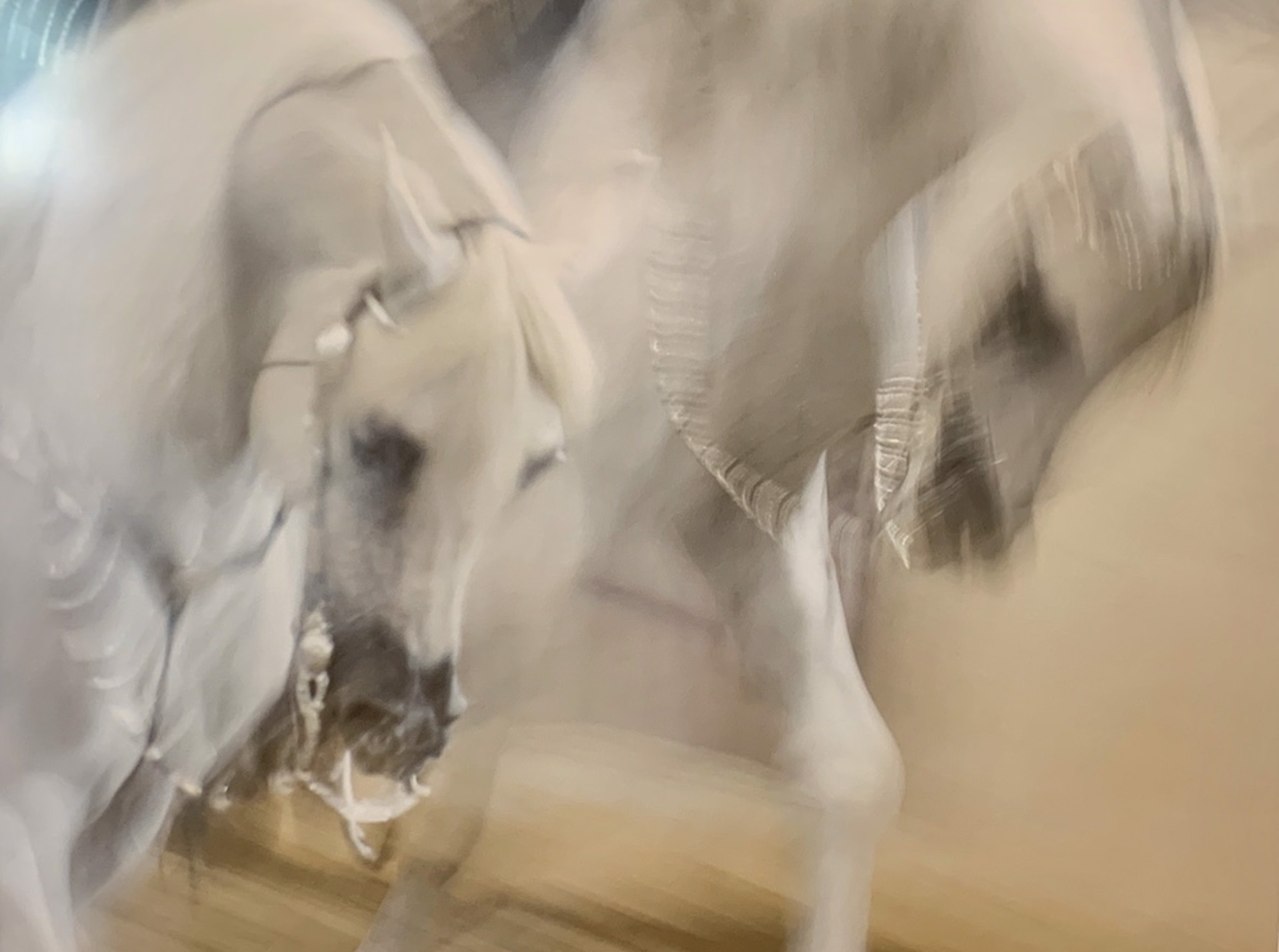 Arabians - Framed 36.5" x 44" by Gregg Albracht