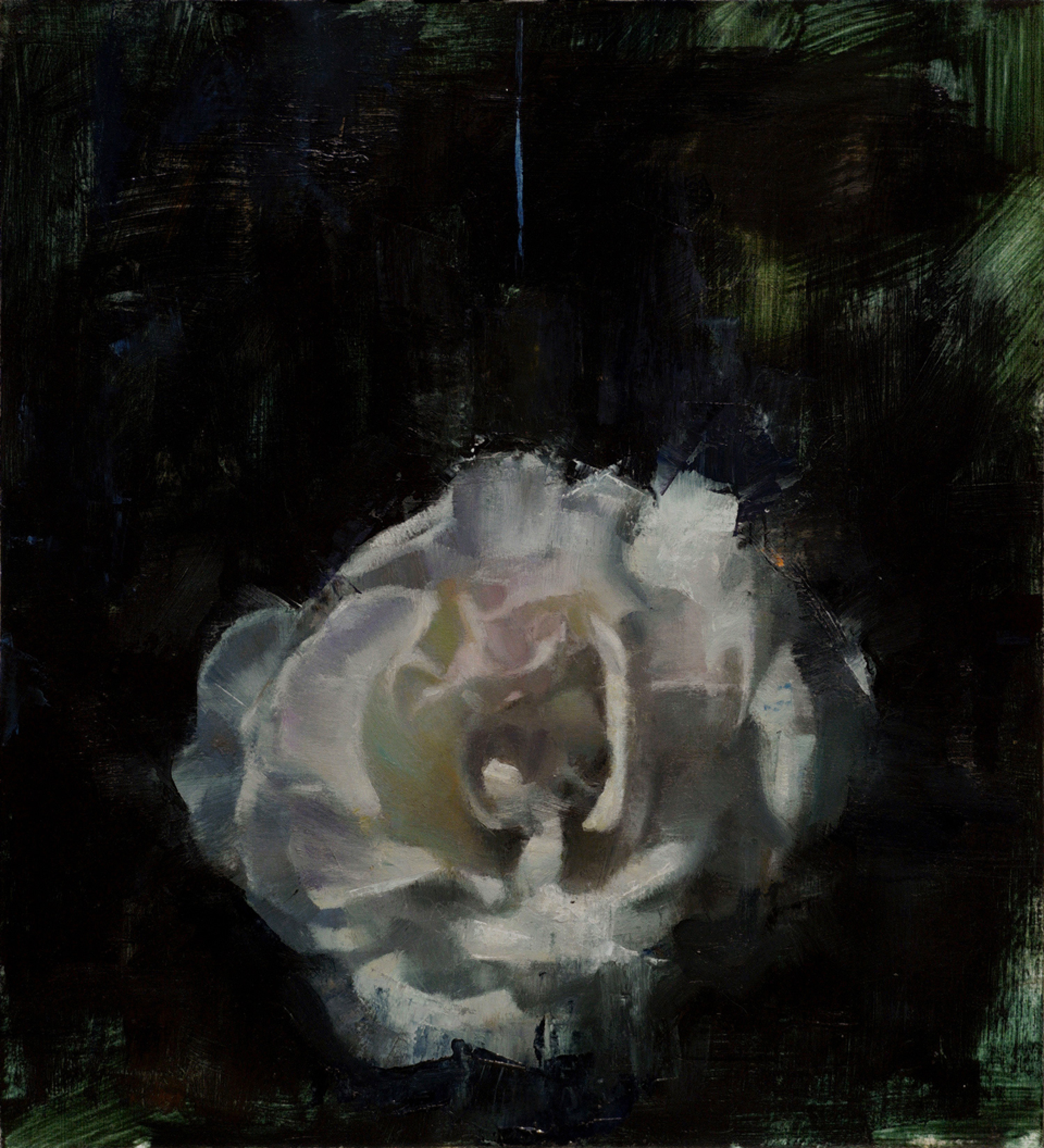 Rose at Dusk by Scott Conary