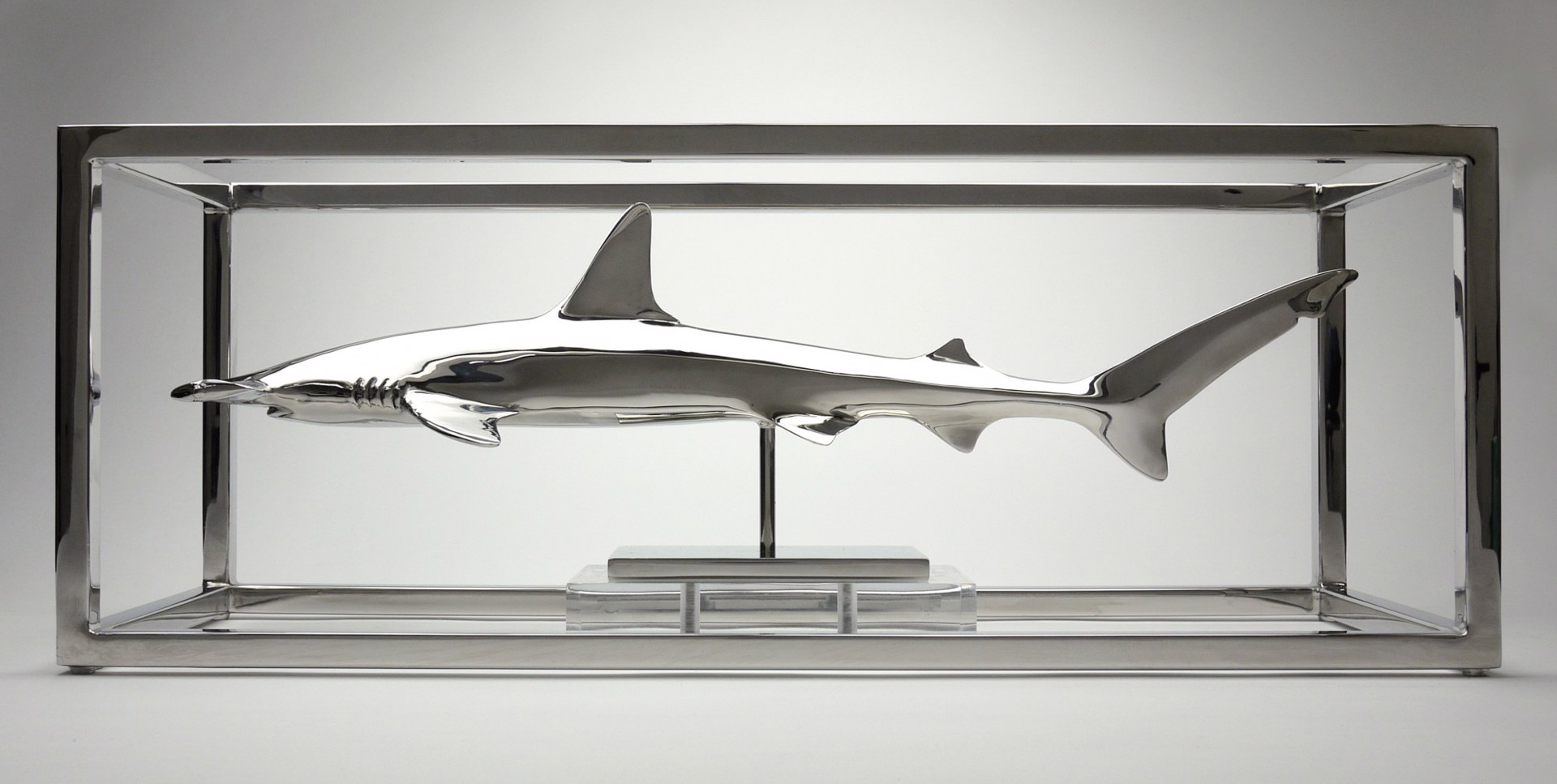 Hammerhead (12/28) by Christopher Schulz