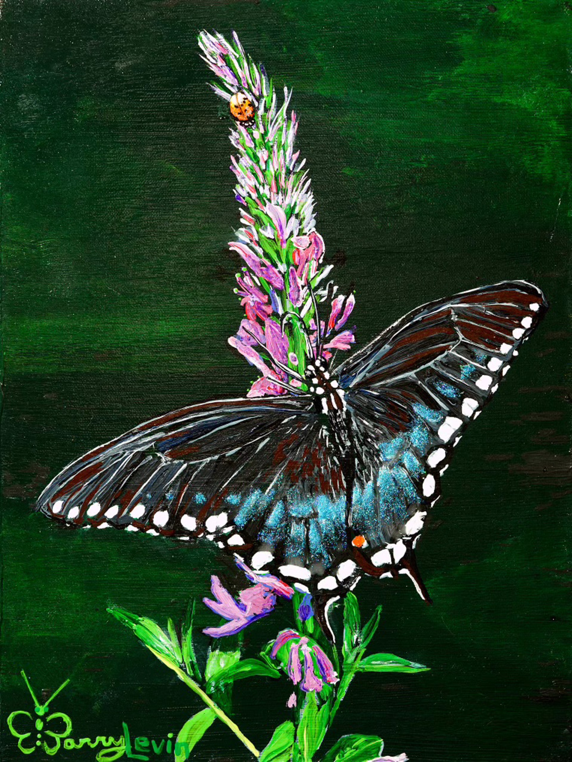 Spicebush Swallowtail, study by Barry Levin