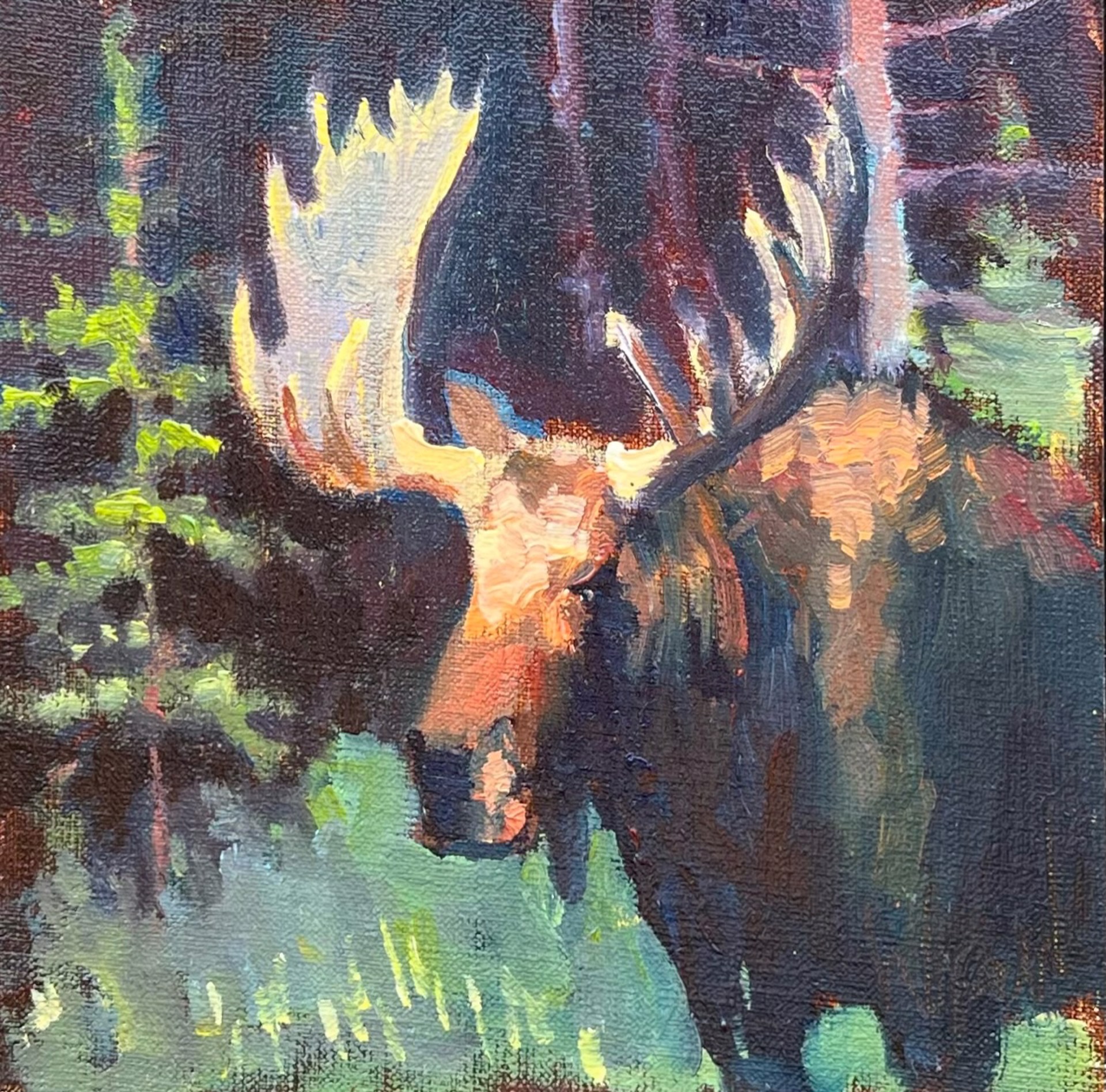 MOOSE IN PINES by Stephen Wysocki