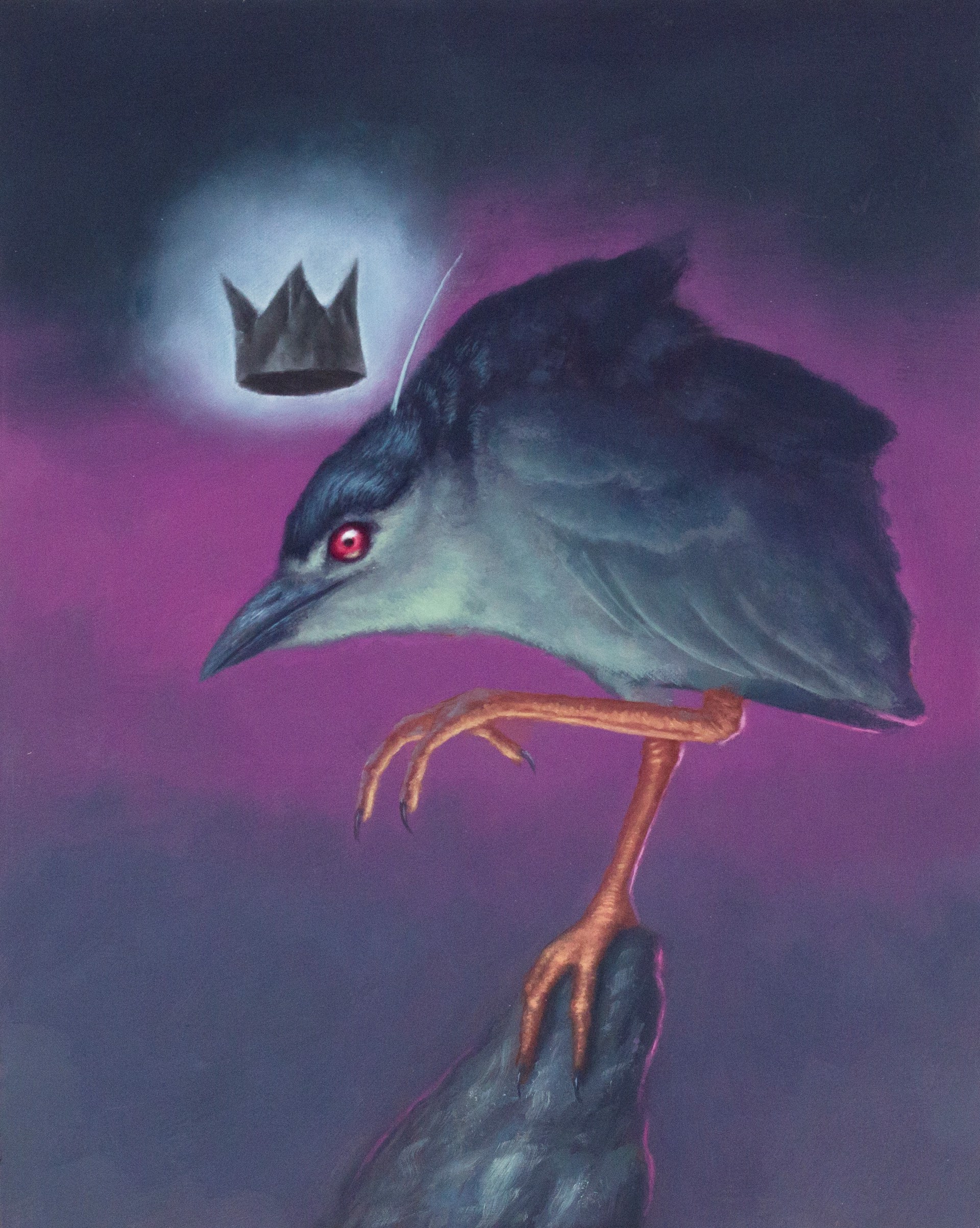 Black-Crowned Night Heron by Cody Jimenez