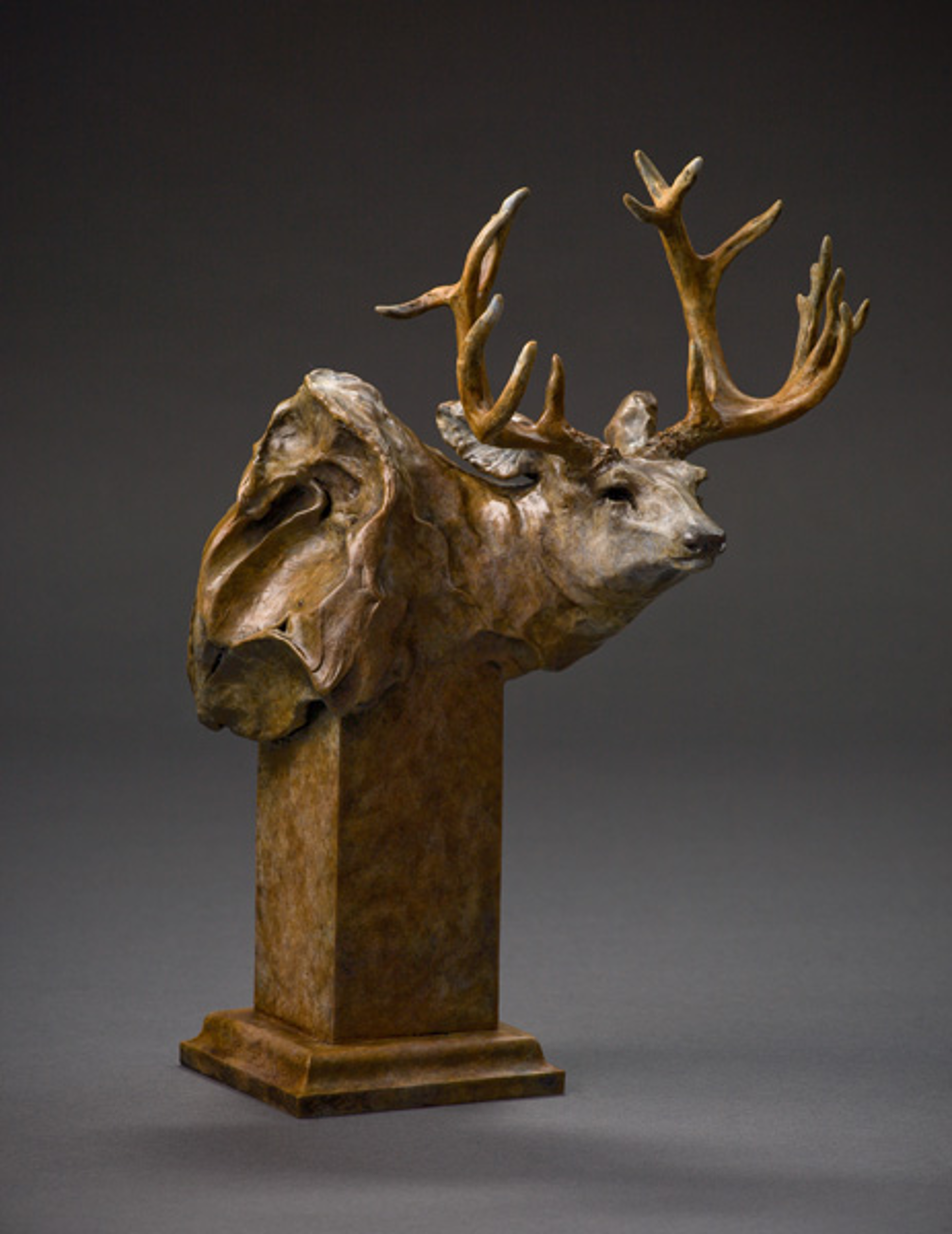 Mule Deer Study #7/35 by Sherry Salari Sander