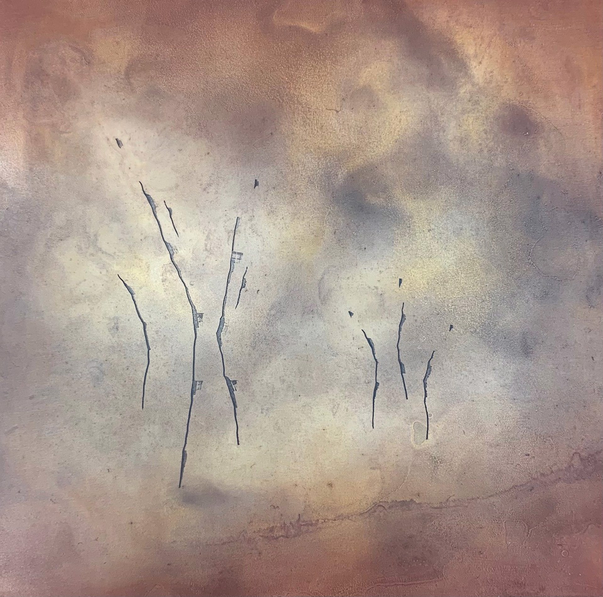 Morning Mist 8 by Julie Quinn