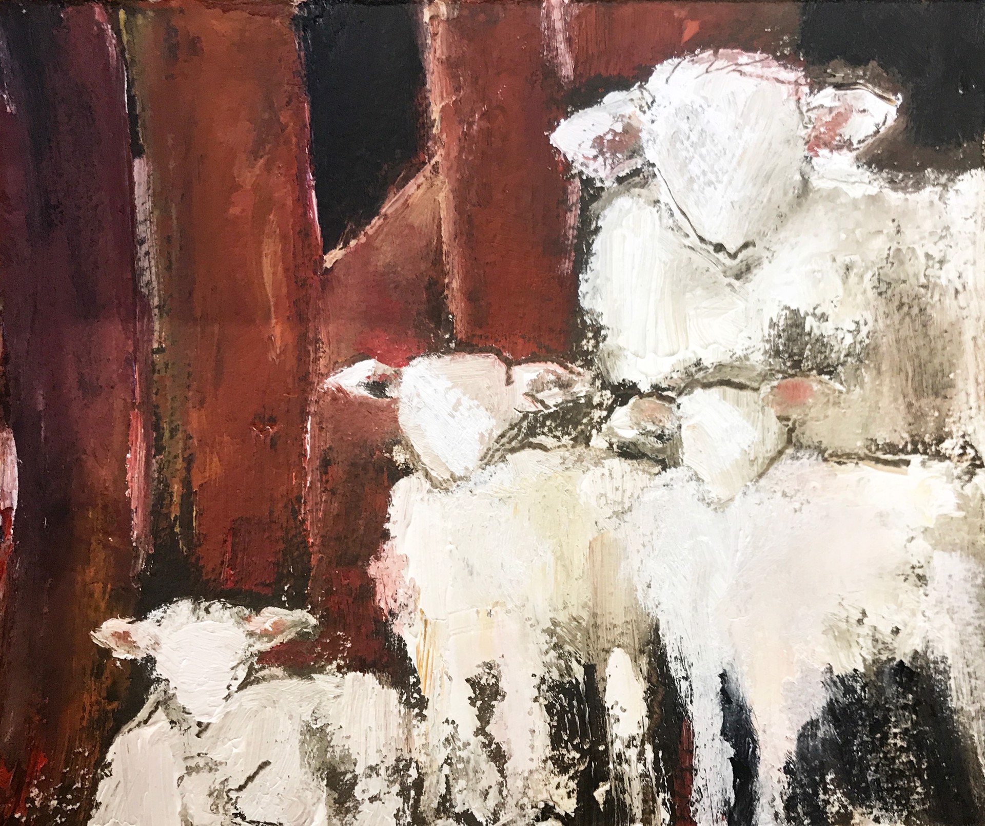 Barn Sheep by Anne Neilson
