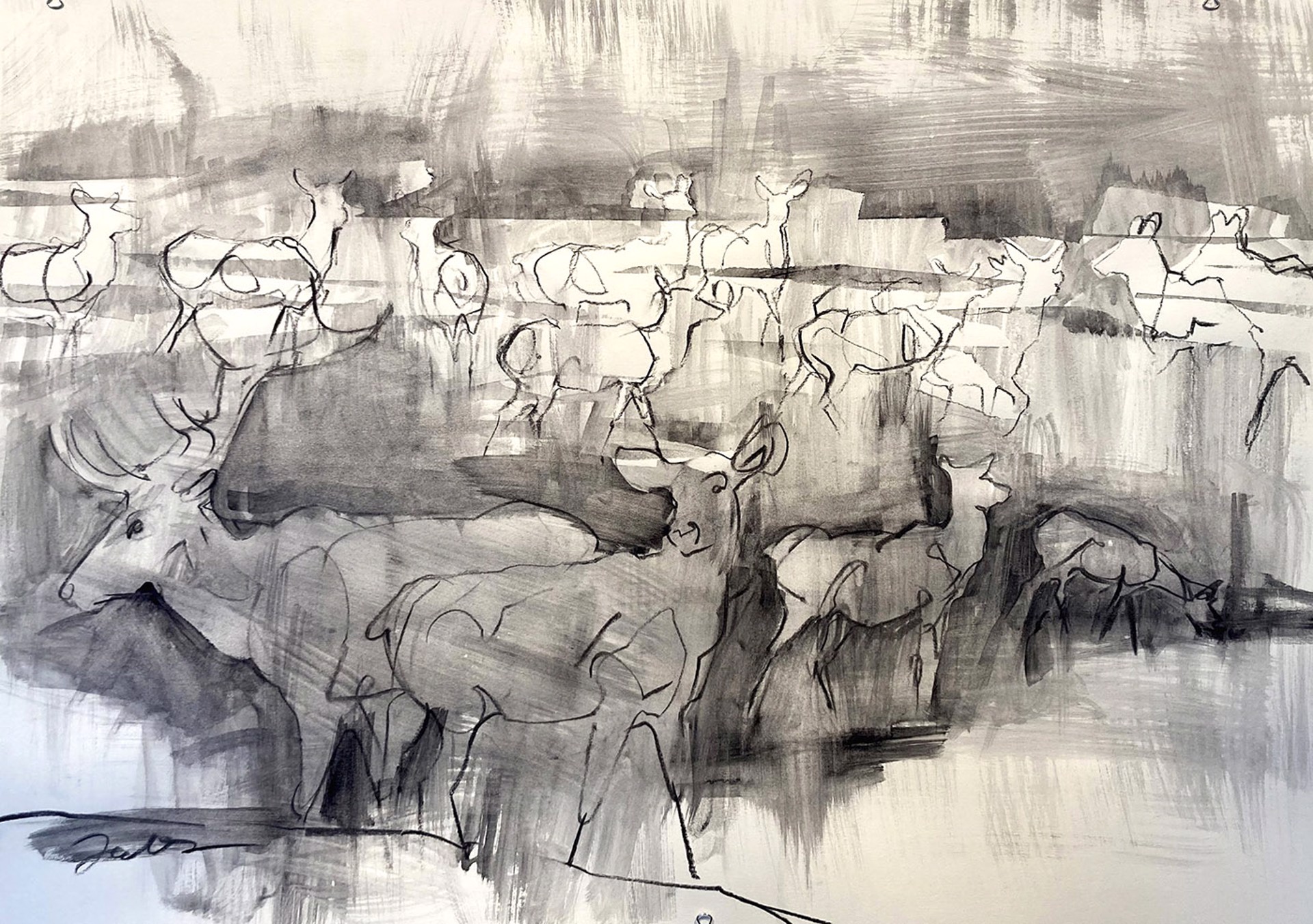 Original Charcoal Drawing By Taryn Boals Of An Elk Herd