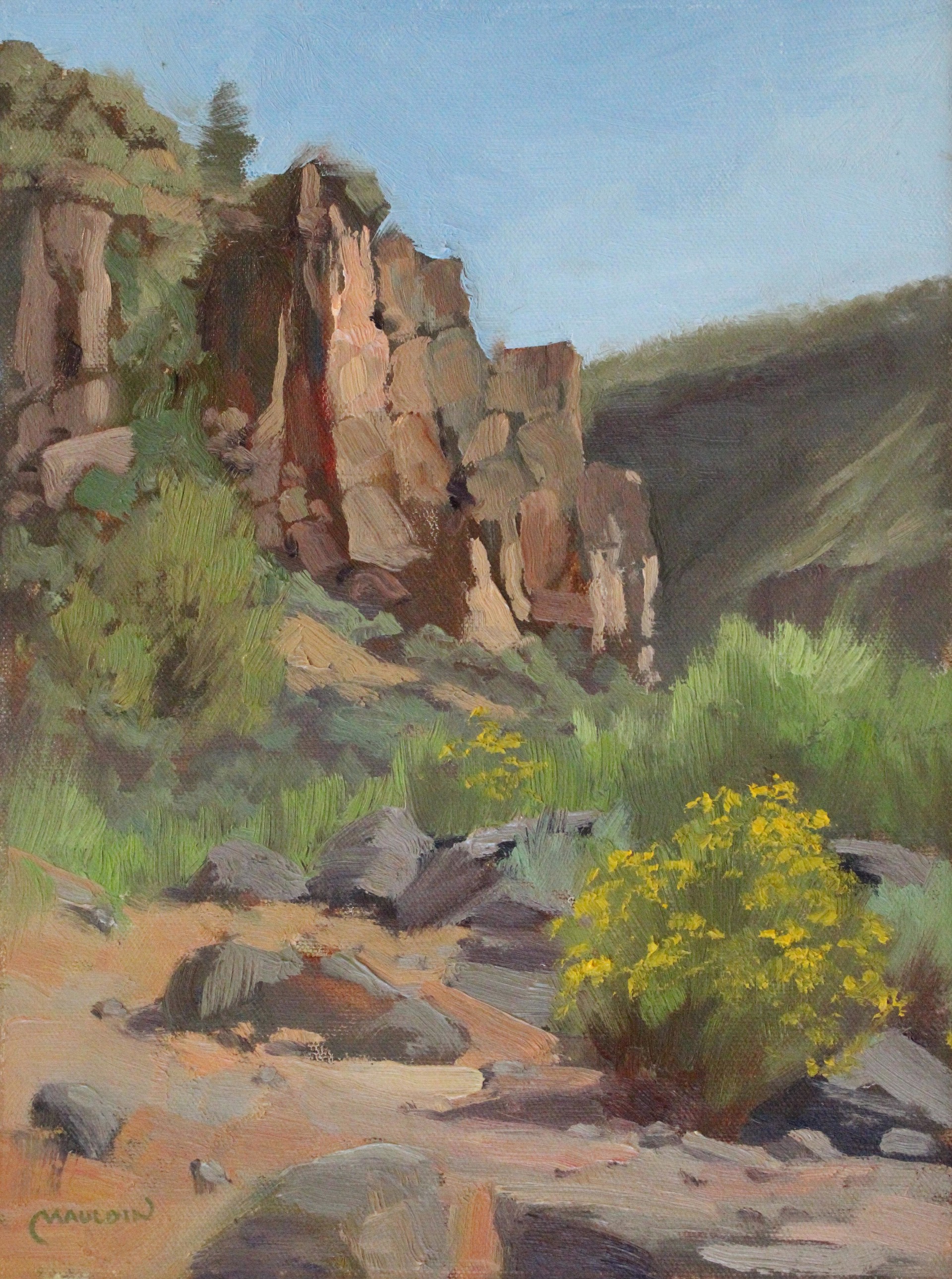 Canyon Wall by Chuck Mauldin