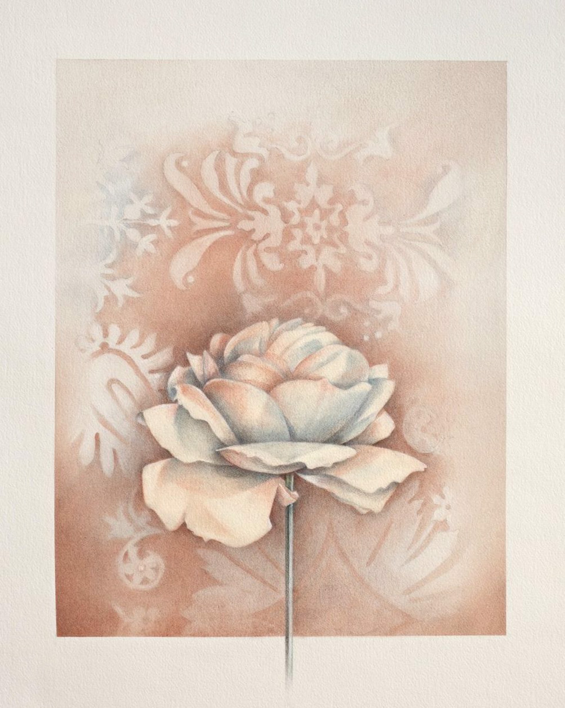 Fortuny Rose by Susan Manchester